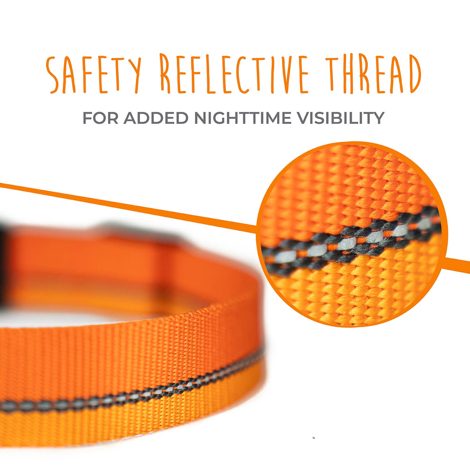 Mighty Paw - Standard Reflective Colorblast Dog Collar: Green / Medium