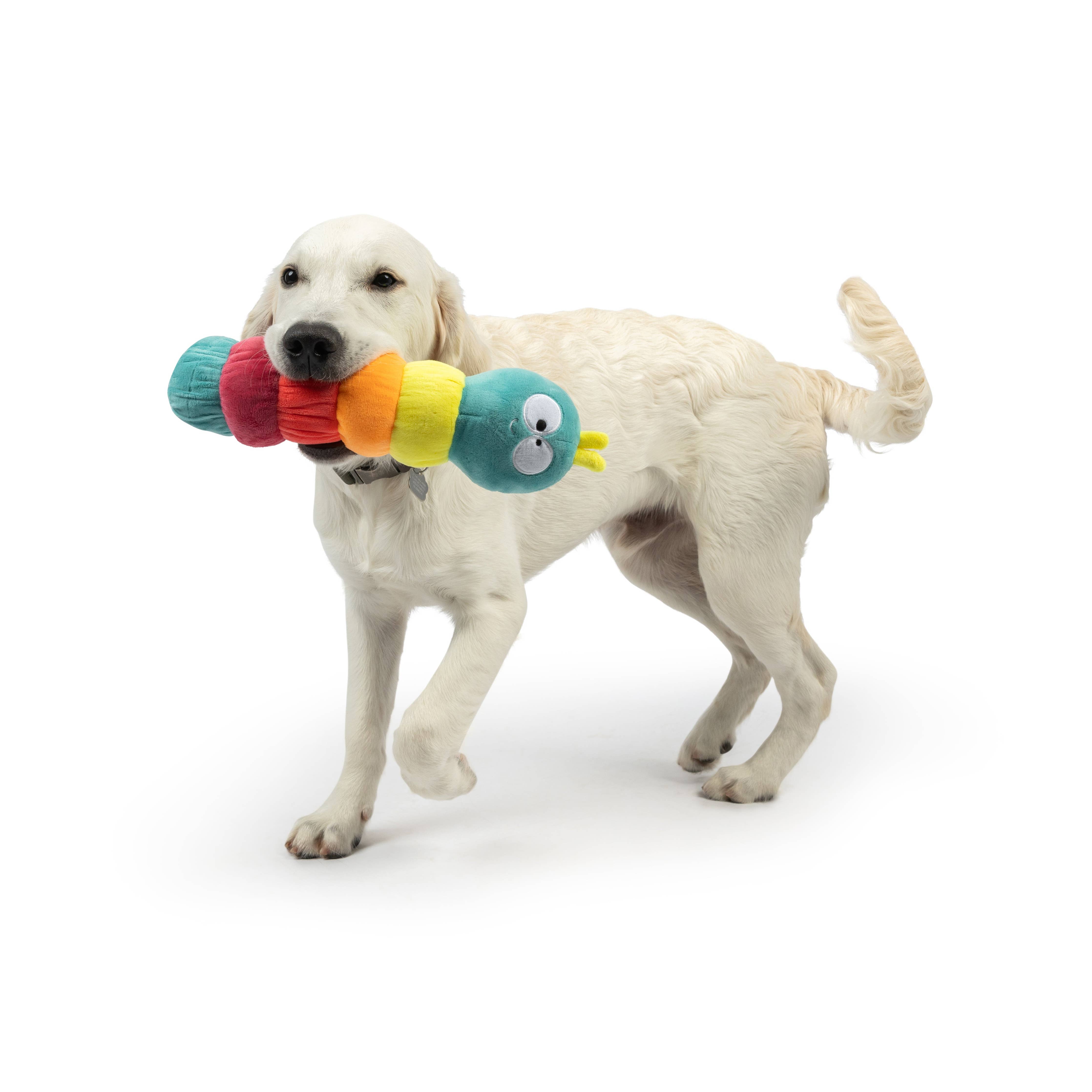 Huxley & Kent - Fetchies® Caterpillar Dog Toy: Small