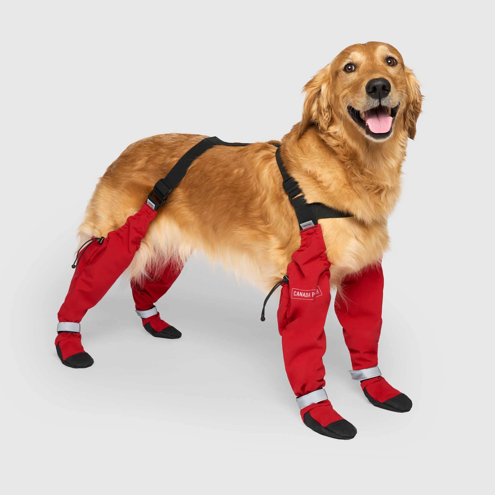 Canada Pooch - Suspender Boots- Dog Boots: Black / 3