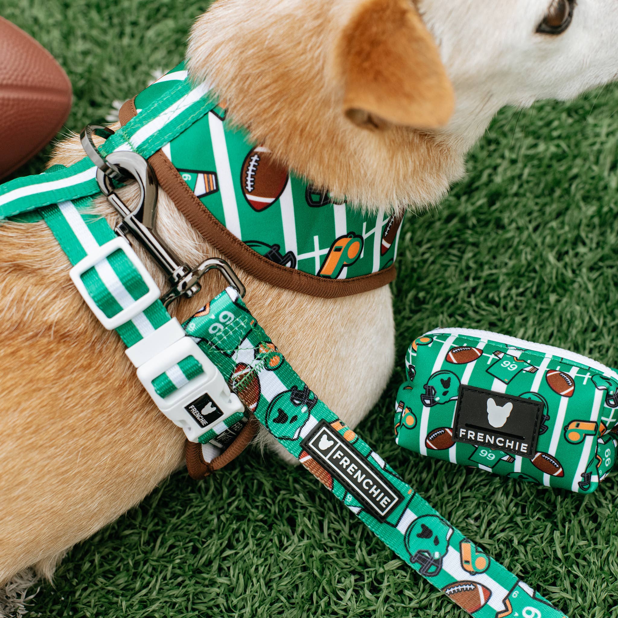 Frenchie - Frenchie Duo Reversible Harness - Touchdown: Medium