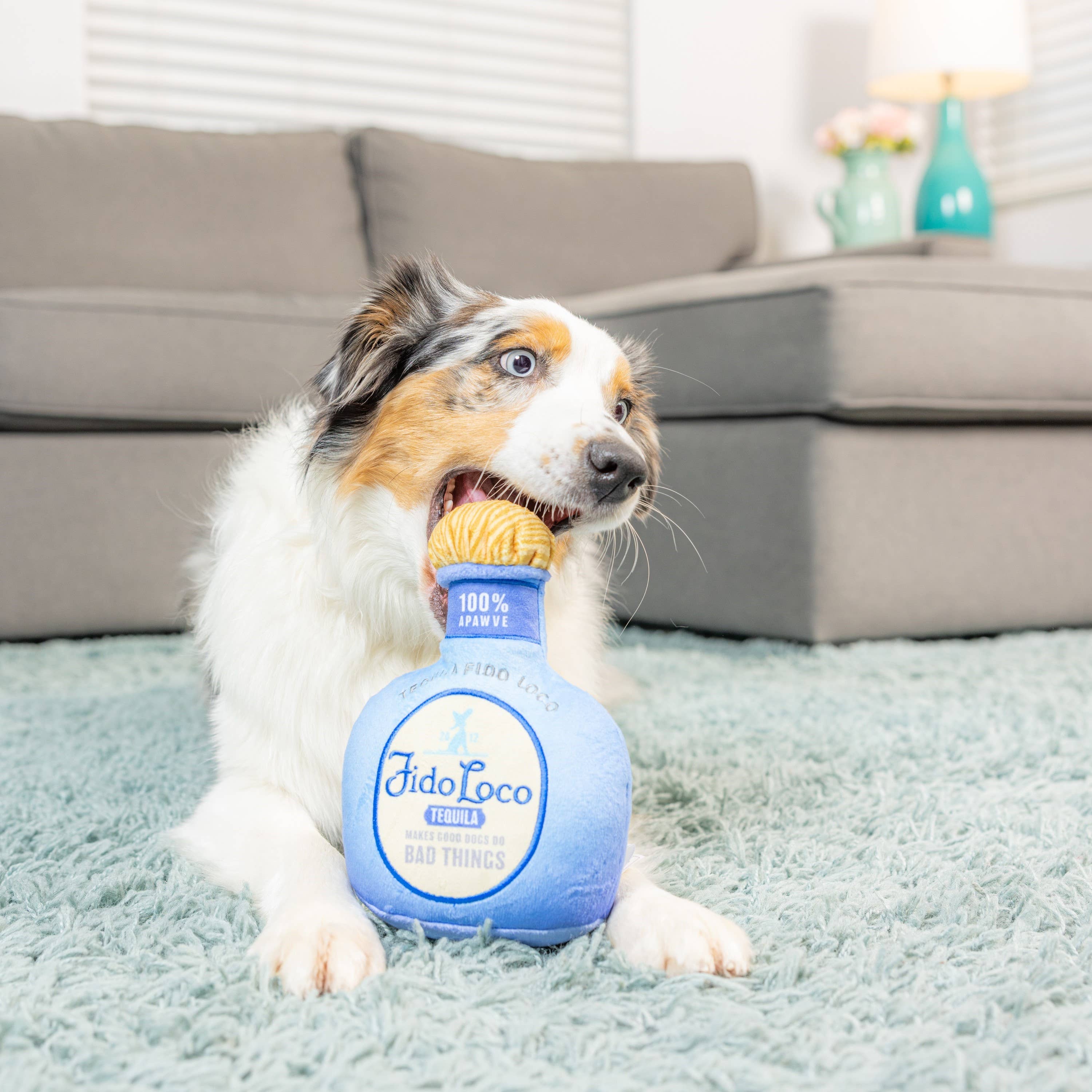 Huxley & Kent - Fido Loco Tequila Dog Toy: Small