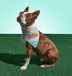 Happy Heckin' Holidays Dog Bandana