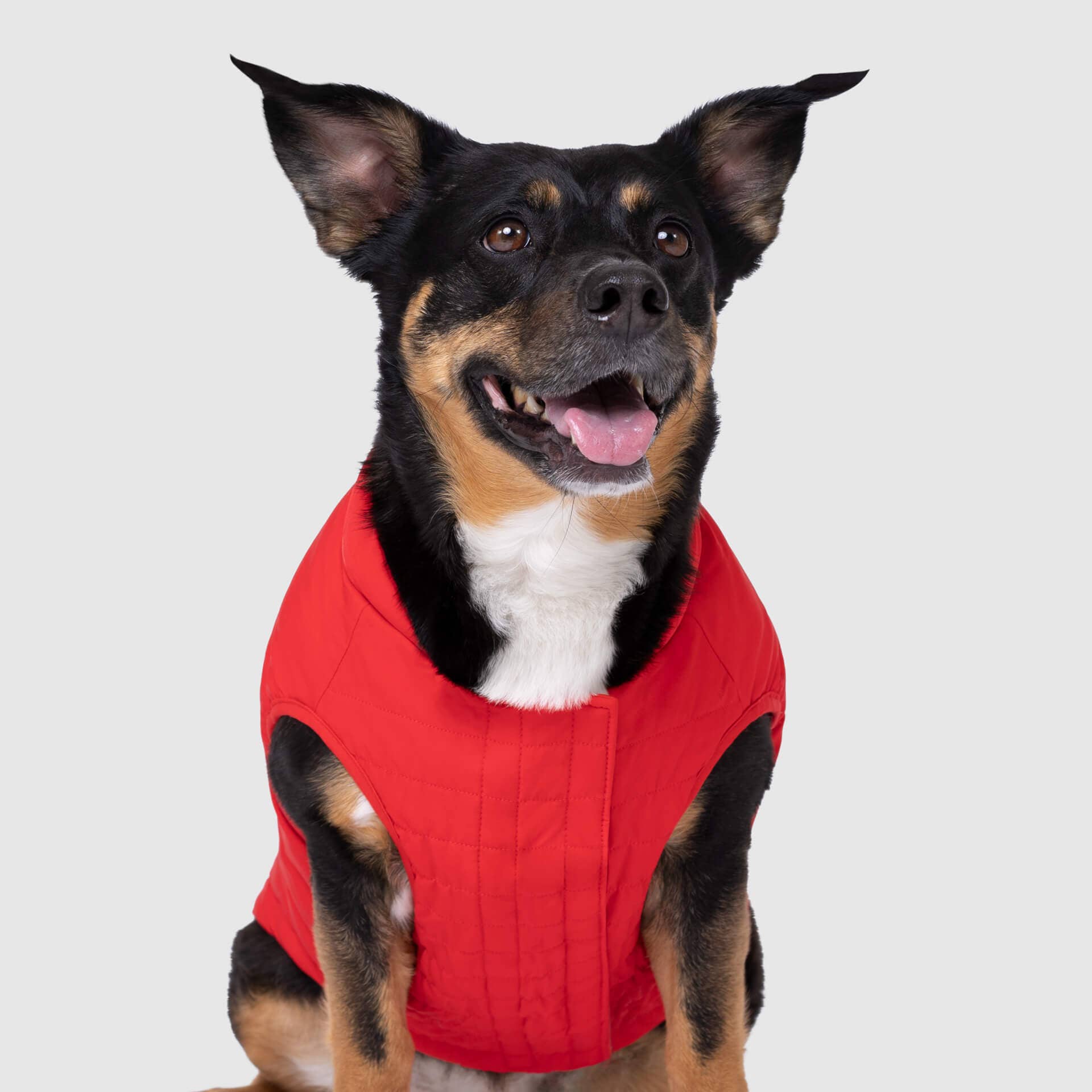 Canada Pooch - Ultimate Stretch Vest- Dog Coat: Pink / 14+