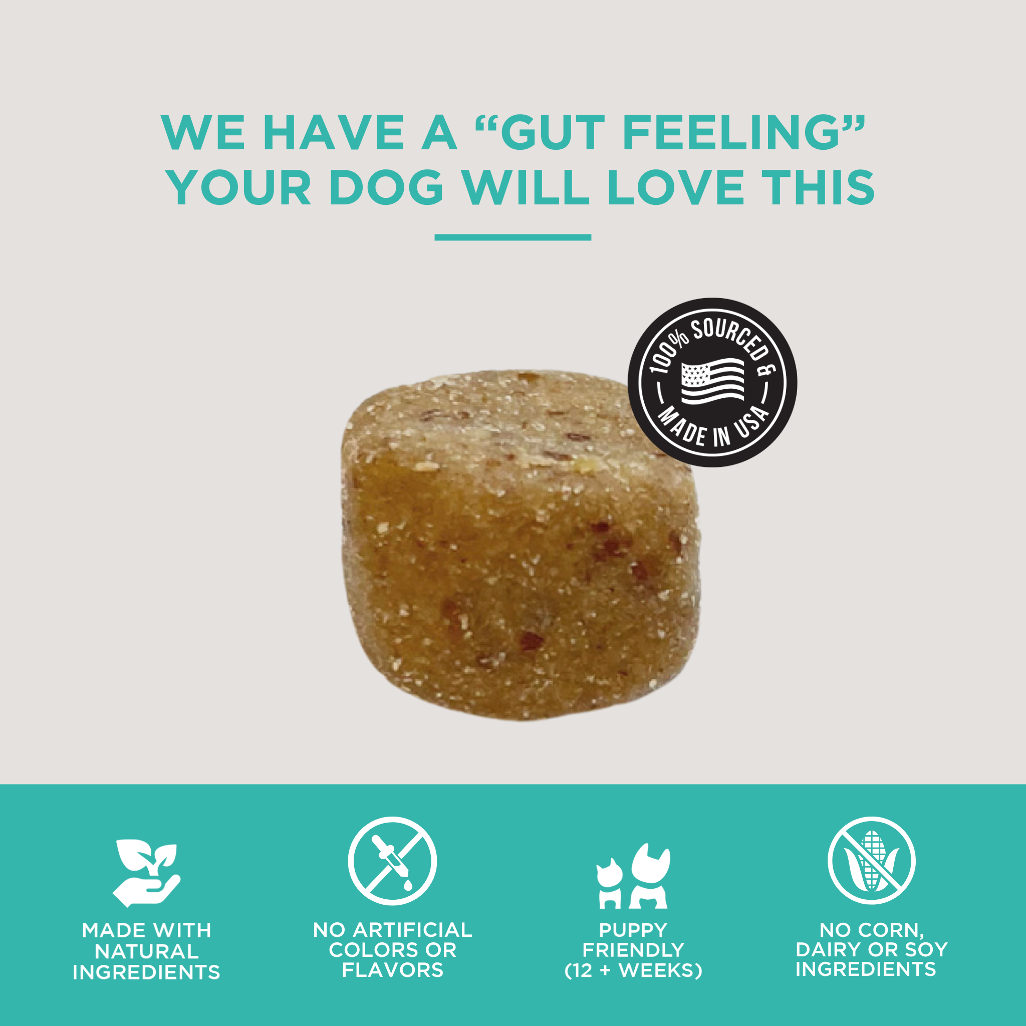 Natural Rapport - The Only Digestive Support Soft Chews Dogs Need: 120 count jar