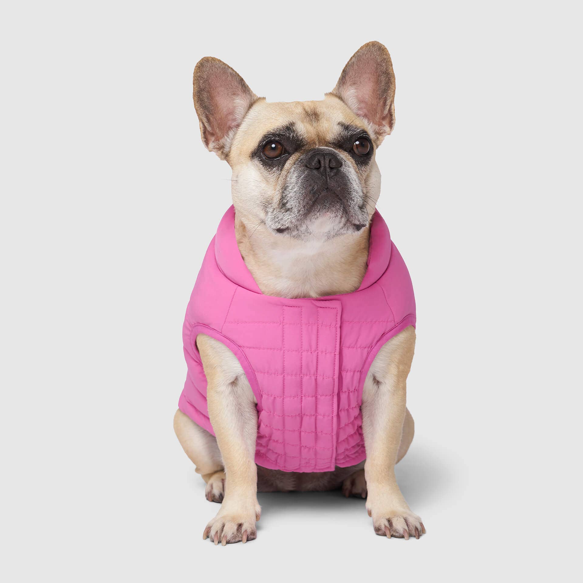 Canada Pooch - Ultimate Stretch Vest- Dog Coat: Pink / 18