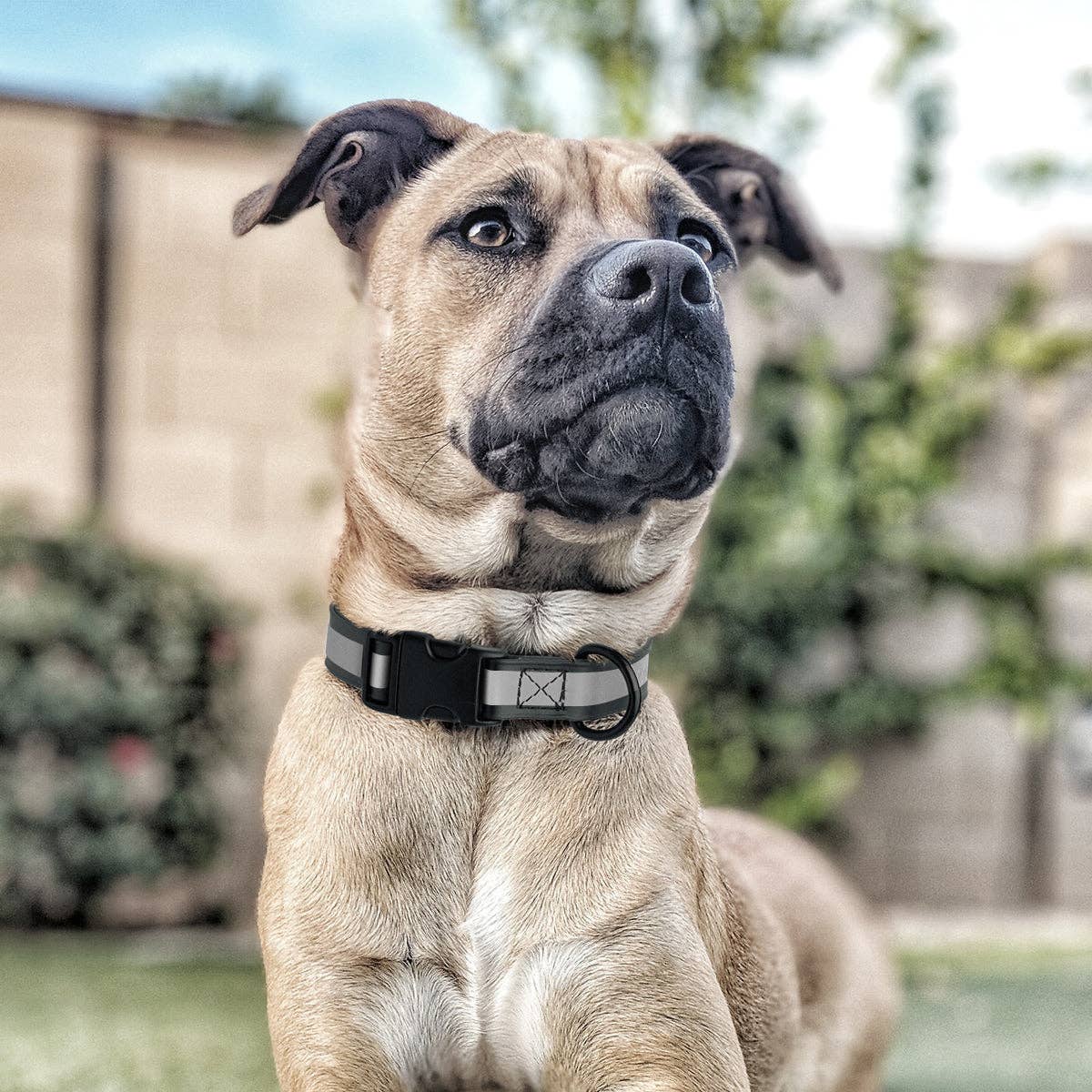 Dogline - Dogline Biothane Reflective Dog Collar with Quick Release: Black / 15"-25" / 1"