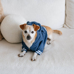 Frenchie - Frenchie Dog Hoodie - Blue Teddy: L