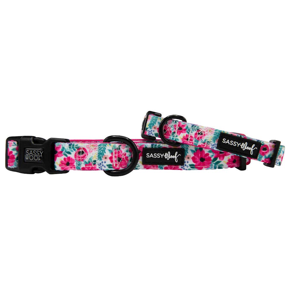 SASSY WOOF - Dog Collar - Floral Frenzy: XSmall