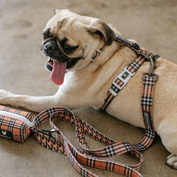 Frenchie - Frenchie Strap Harness - Tan Tartan: OS