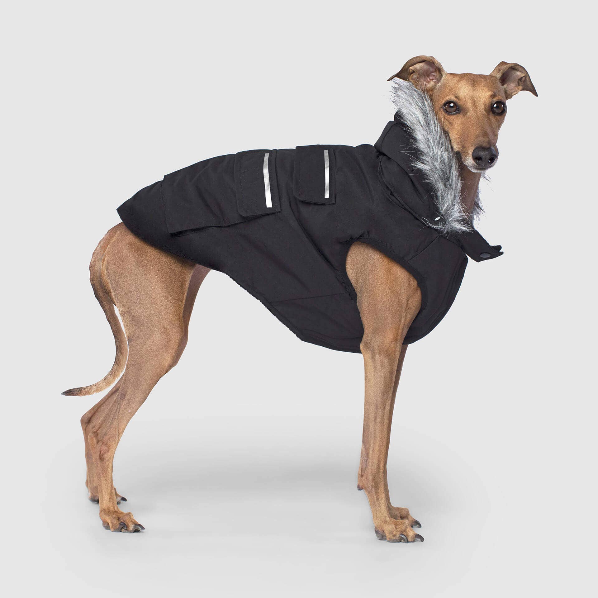 Canada Pooch - Everest Explorer Jacket- Dog Coat: Black / 10