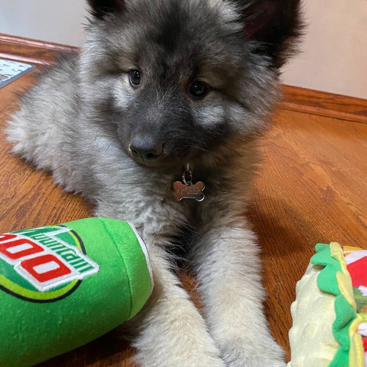 Huxley & Kent - Mountain Poo For Dogs: SM