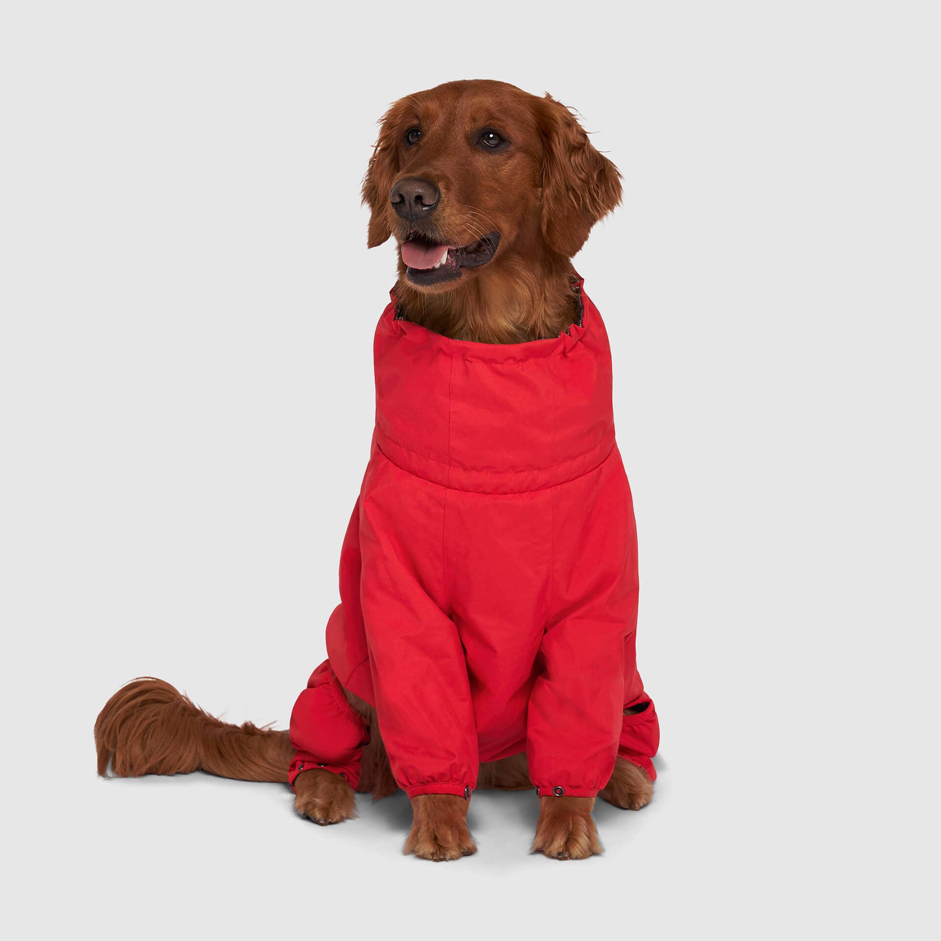 Canada Pooch - The Snow Suit- Dog Suit: Black / 10