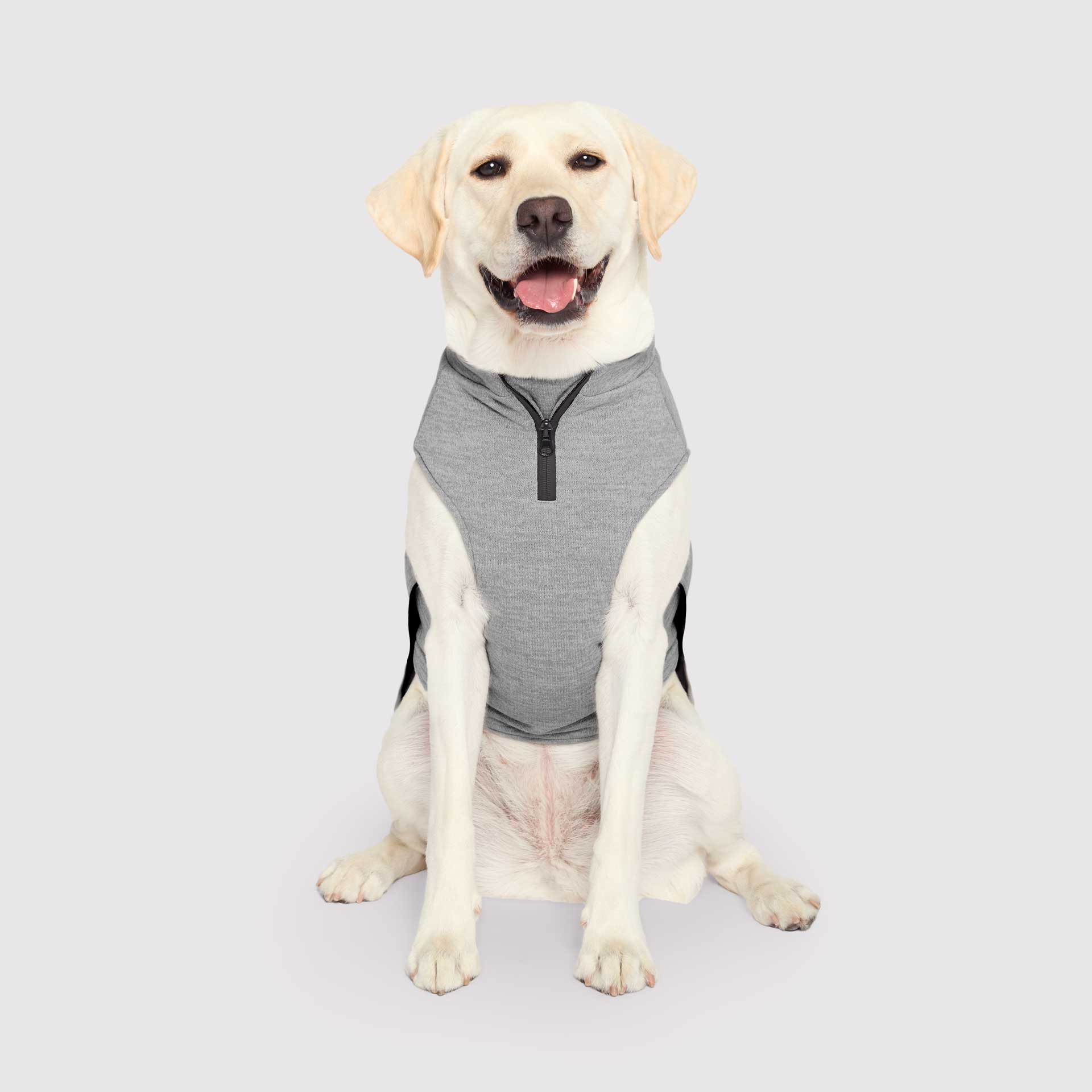 Canada Pooch - Waterproof Sweater- Dog Sweater: Gray / 8