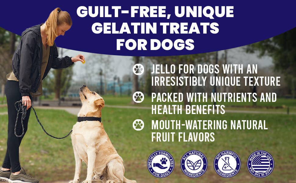 SodaPup Dog Toys - Dogtastic Jelly Shots - Mango Flavor: Dogtastic Jelly Shots gelatin mix for dogs - Mango Flavor