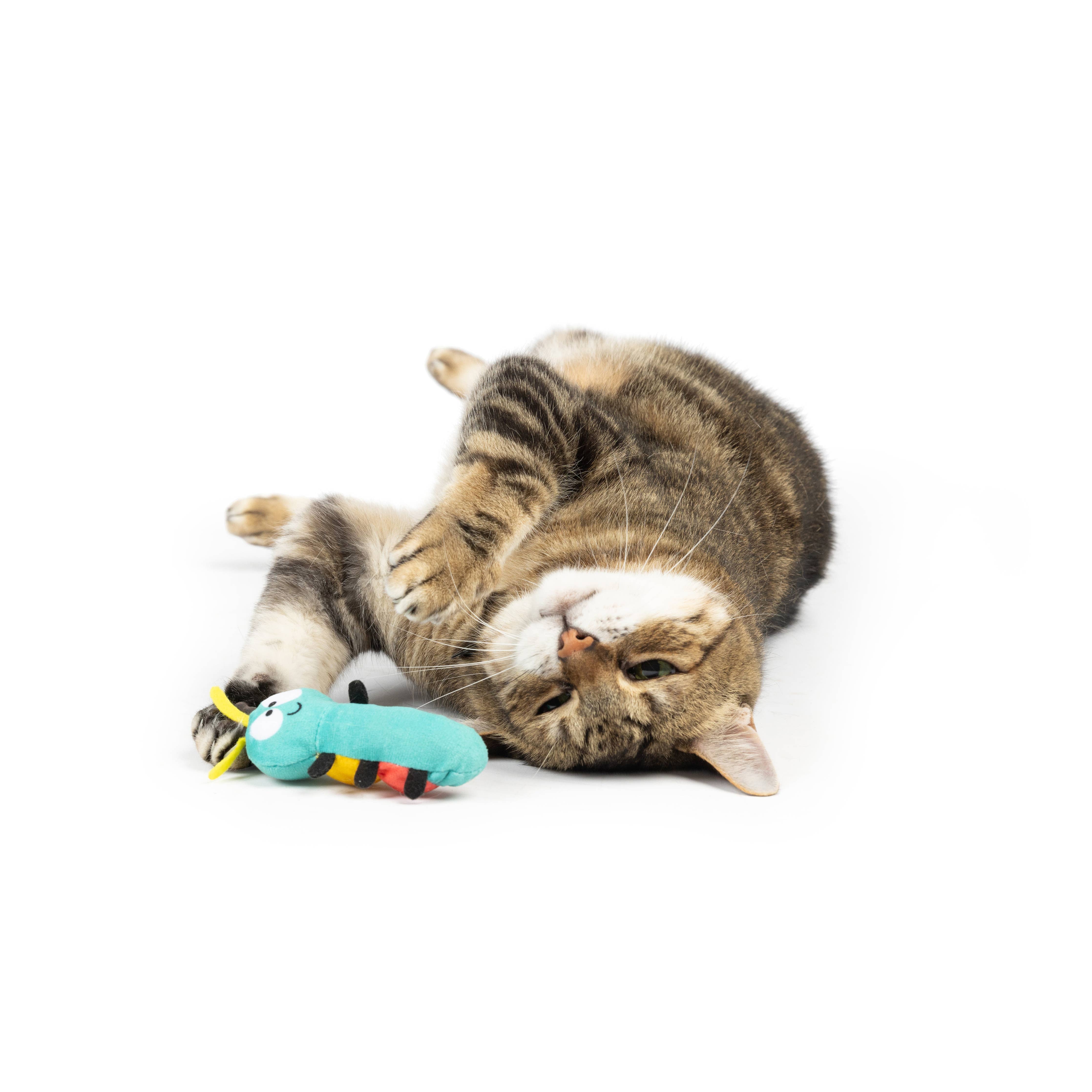 Huxley & Kent - Caterpillar Cat Toy: One Size