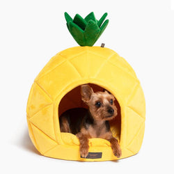 PINEAPPLE DOG BED / CAT HUT - LARGE