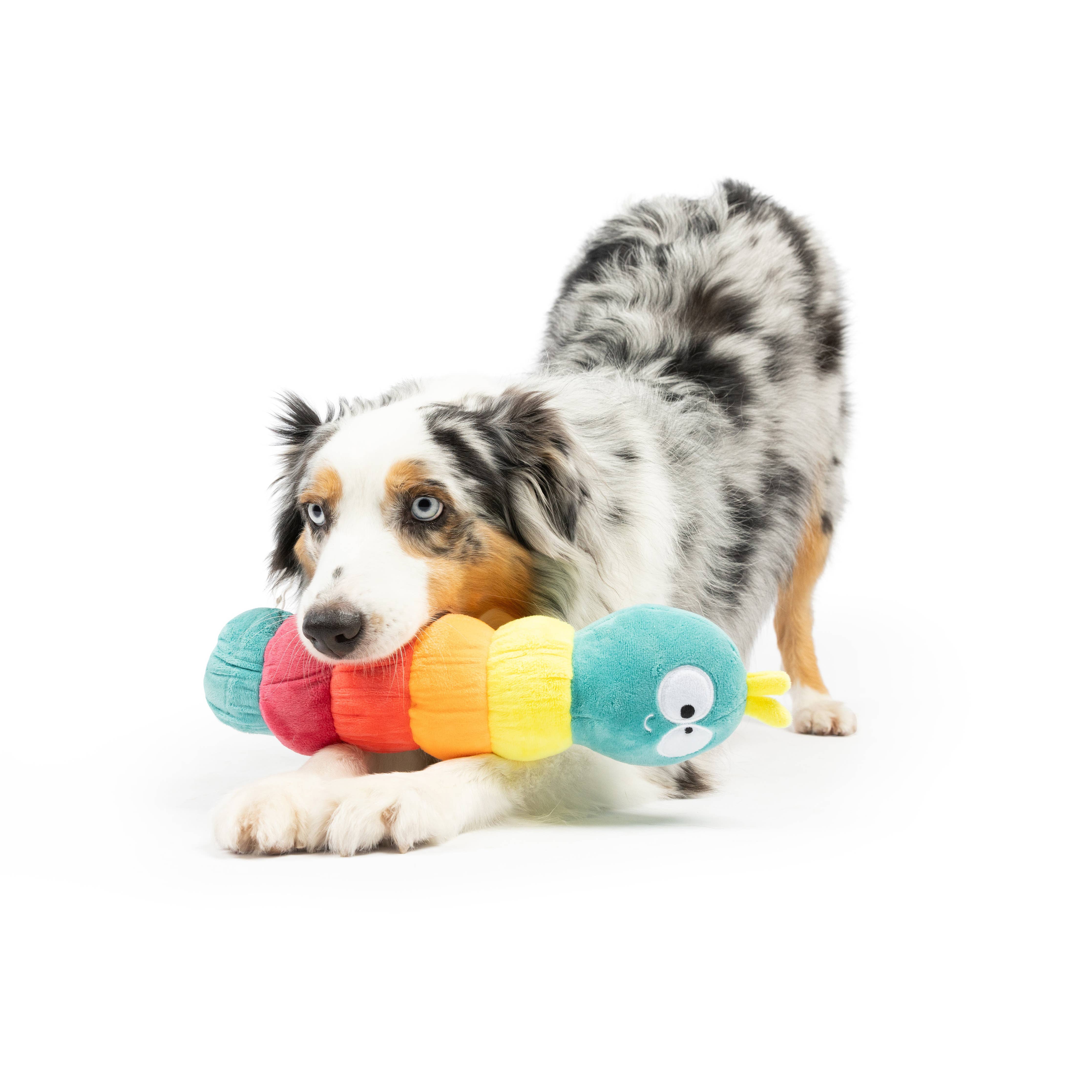 Huxley & Kent - Fetchies® Caterpillar Dog Toy: Small