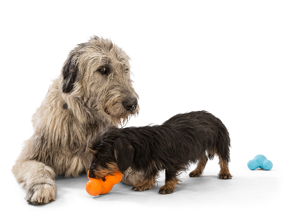 West Paw Tux® Puzzle Treat-Dispensing Slow Feeder Dog Toy: Large Orange