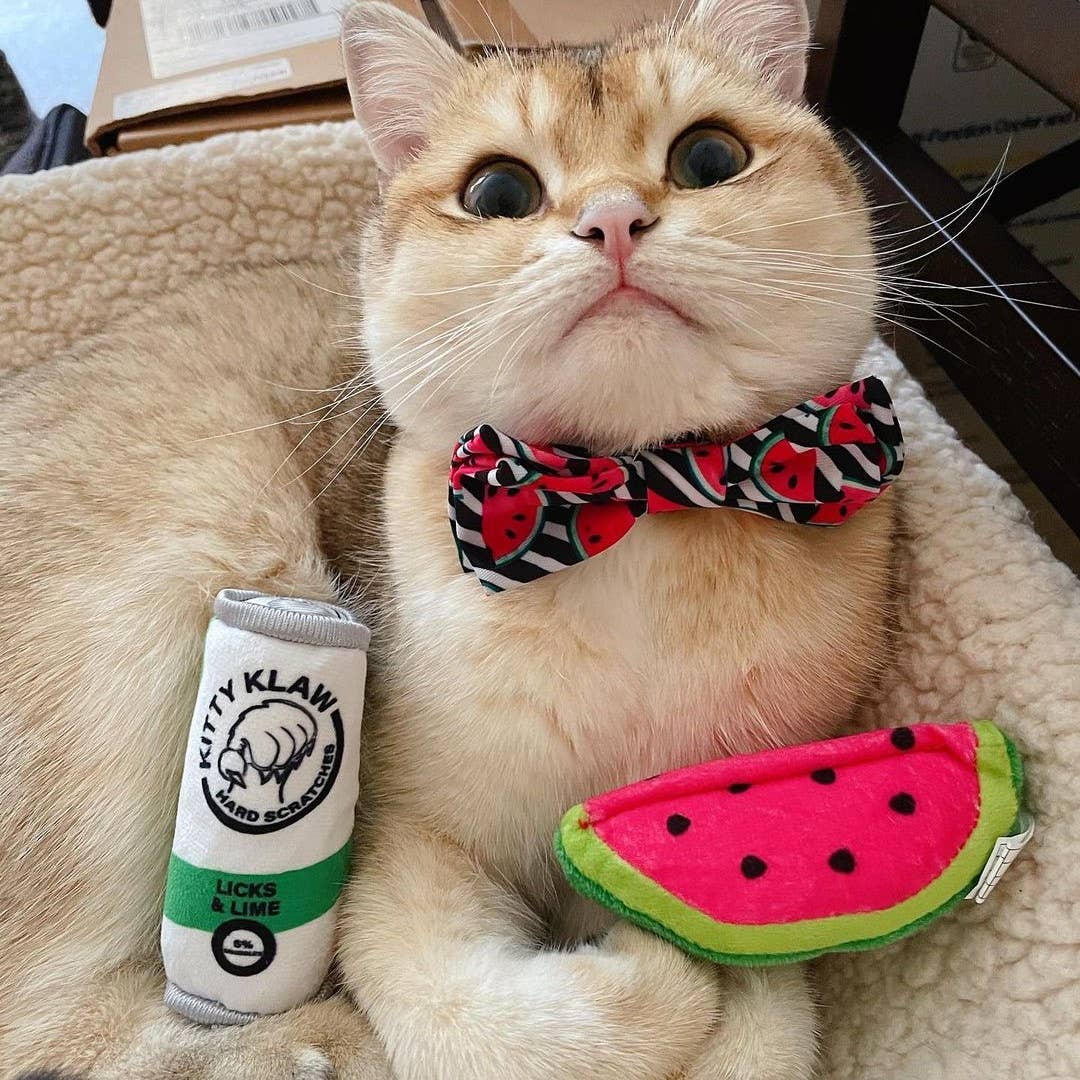 Huxley & Kent - Watermelon for Cats