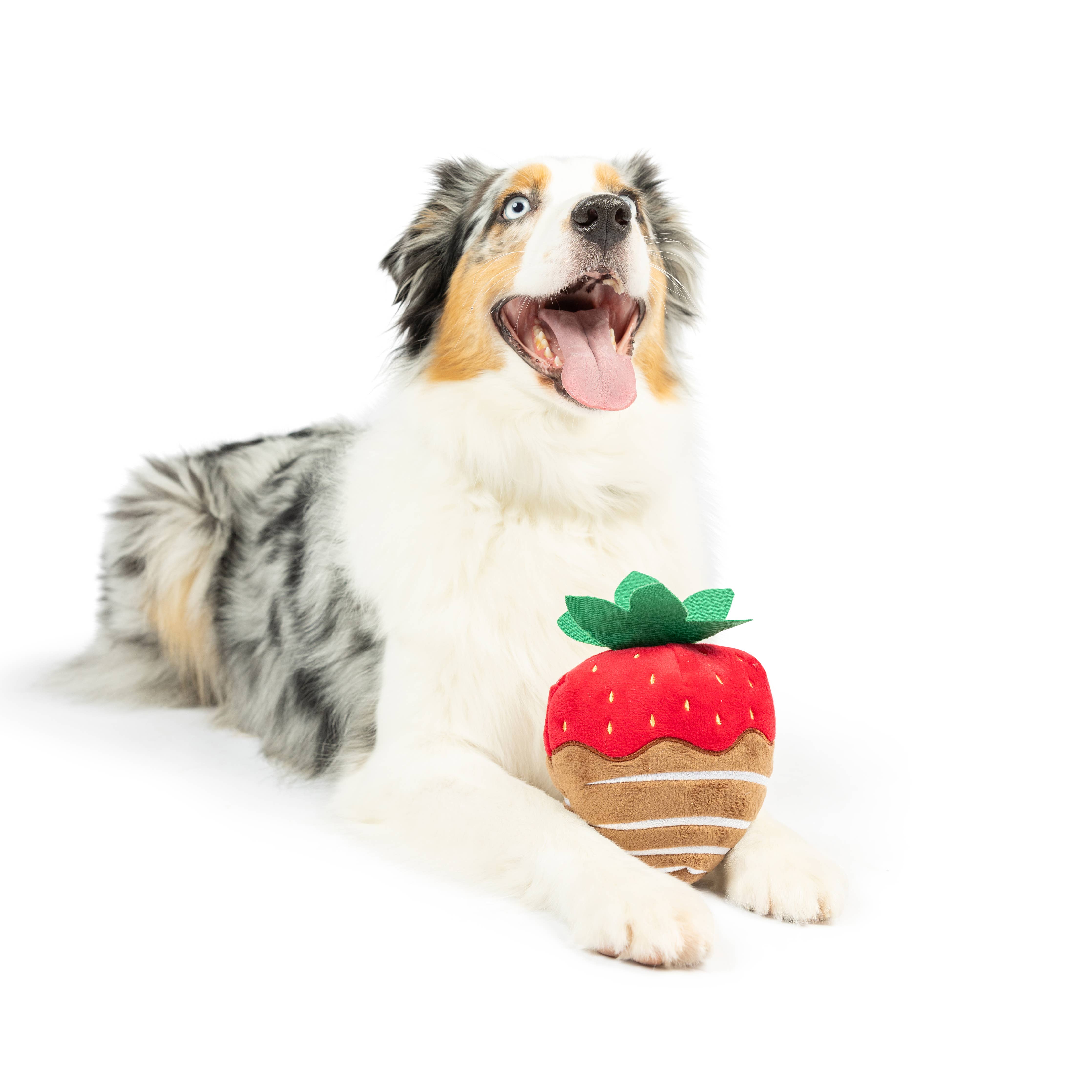 Huxley & Kent - Chocolate Strawberry For Dogs: LG