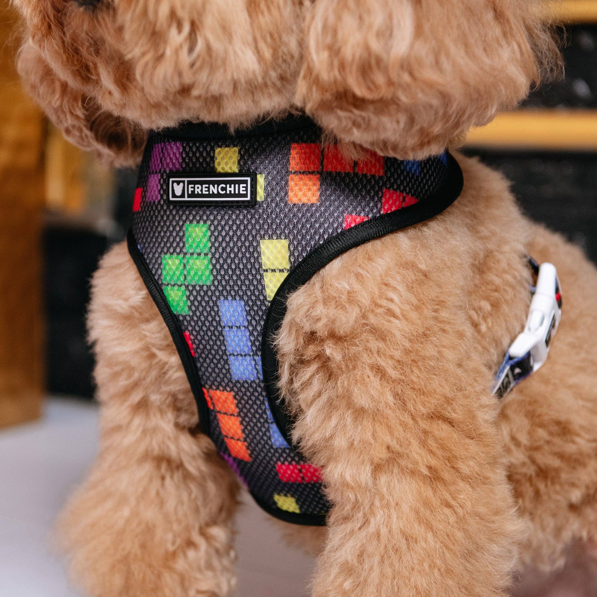 Frenchie - Frenchie Duo Reversible Harness - Arcade: M