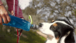 K9 Sport Sack - Vapur® EZ Lick™ Portable Dog Water Bottle: Whiteout