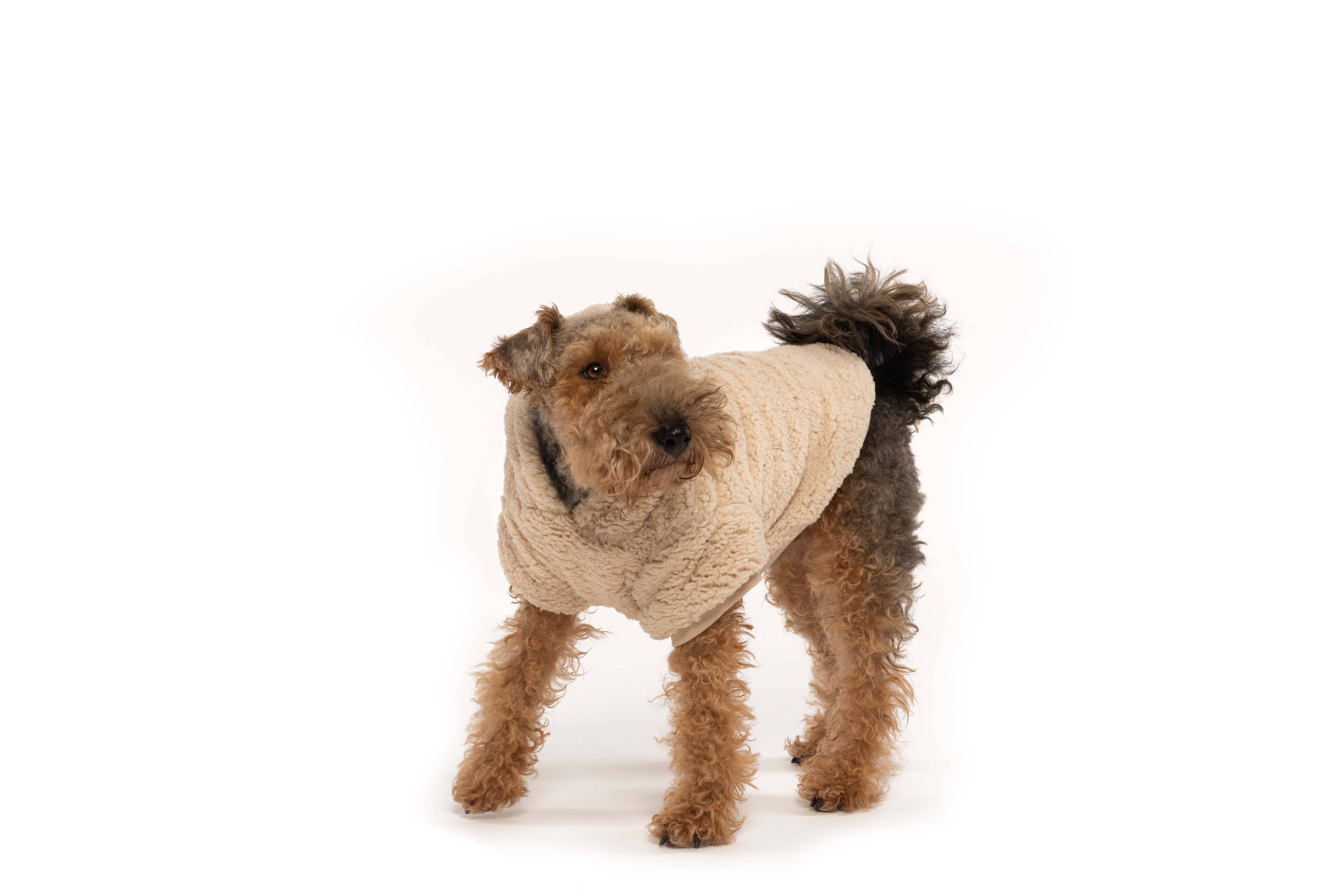 Cream Sherpa Dog Hoodie: 12