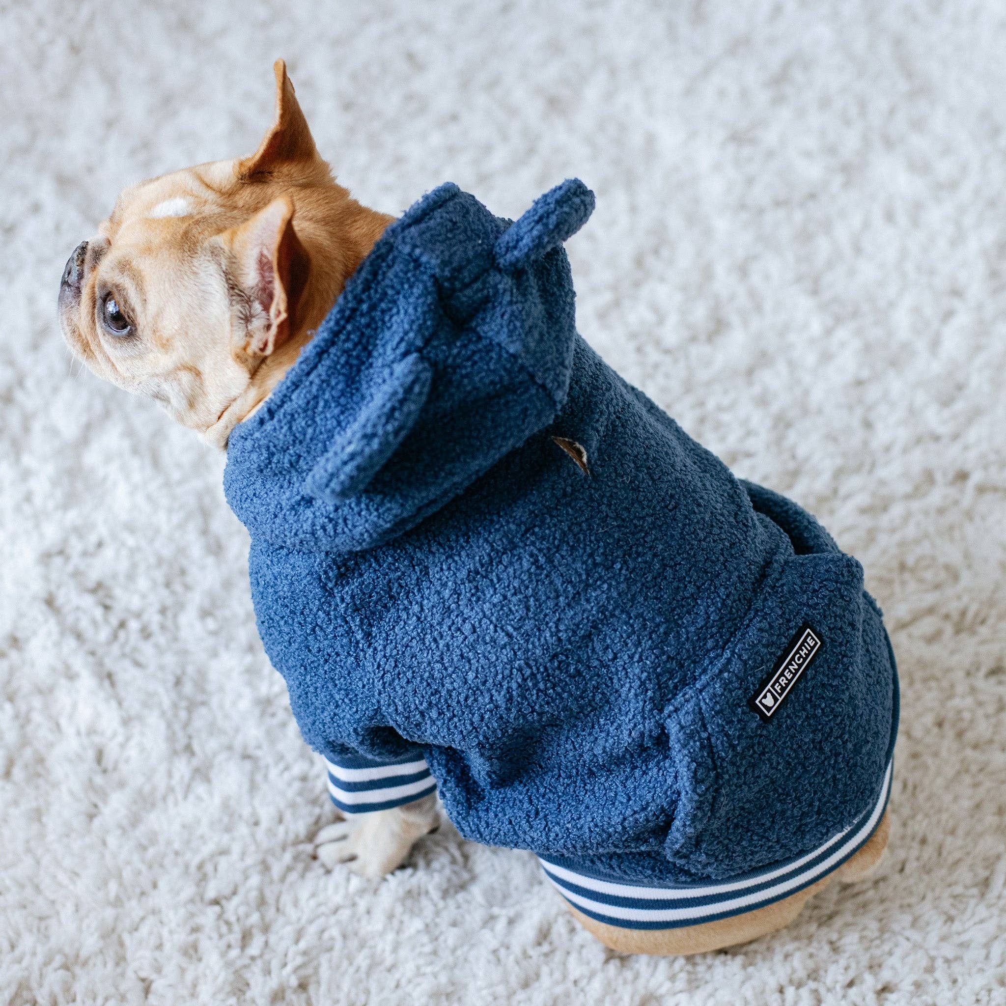 Frenchie - Frenchie Dog Hoodie - Blue Teddy: L