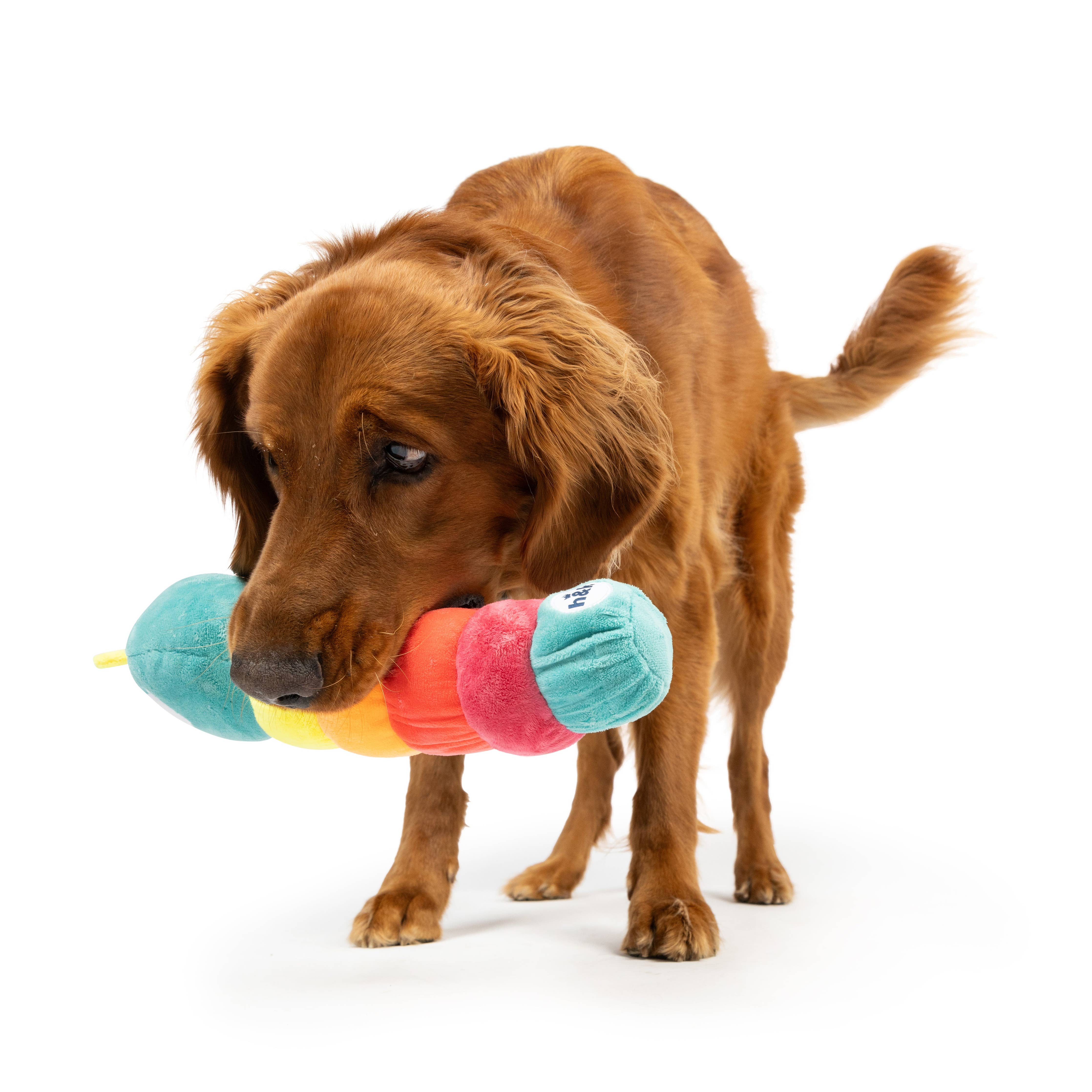 Huxley & Kent - Fetchies® Caterpillar Dog Toy: Large