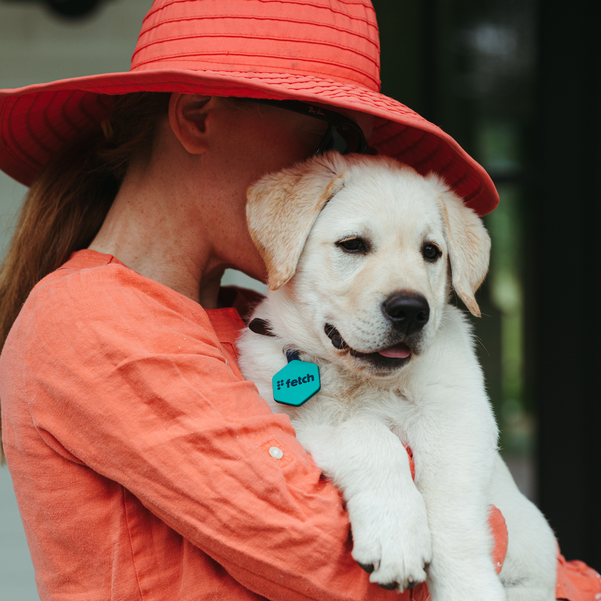 Lifekey Smart Pet Tag Red