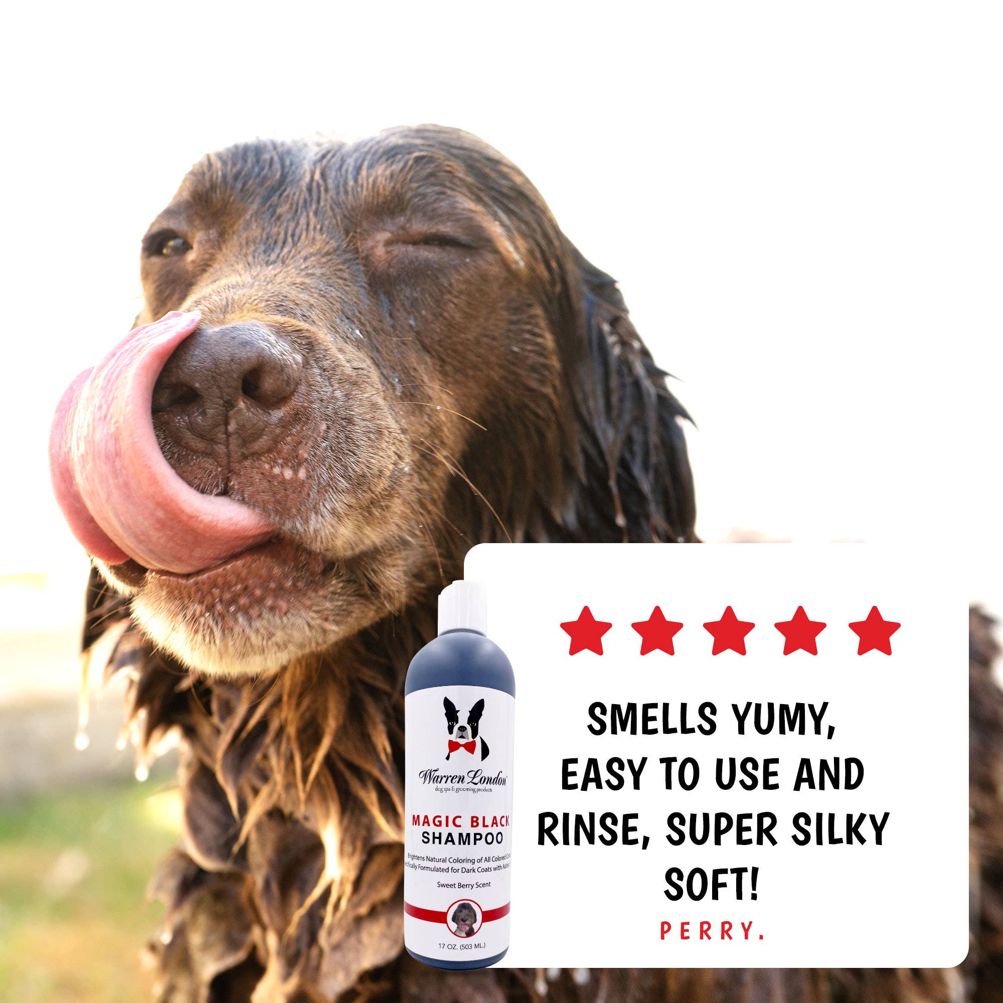 Magic Black Brightening Dog Shampoo: 17oz