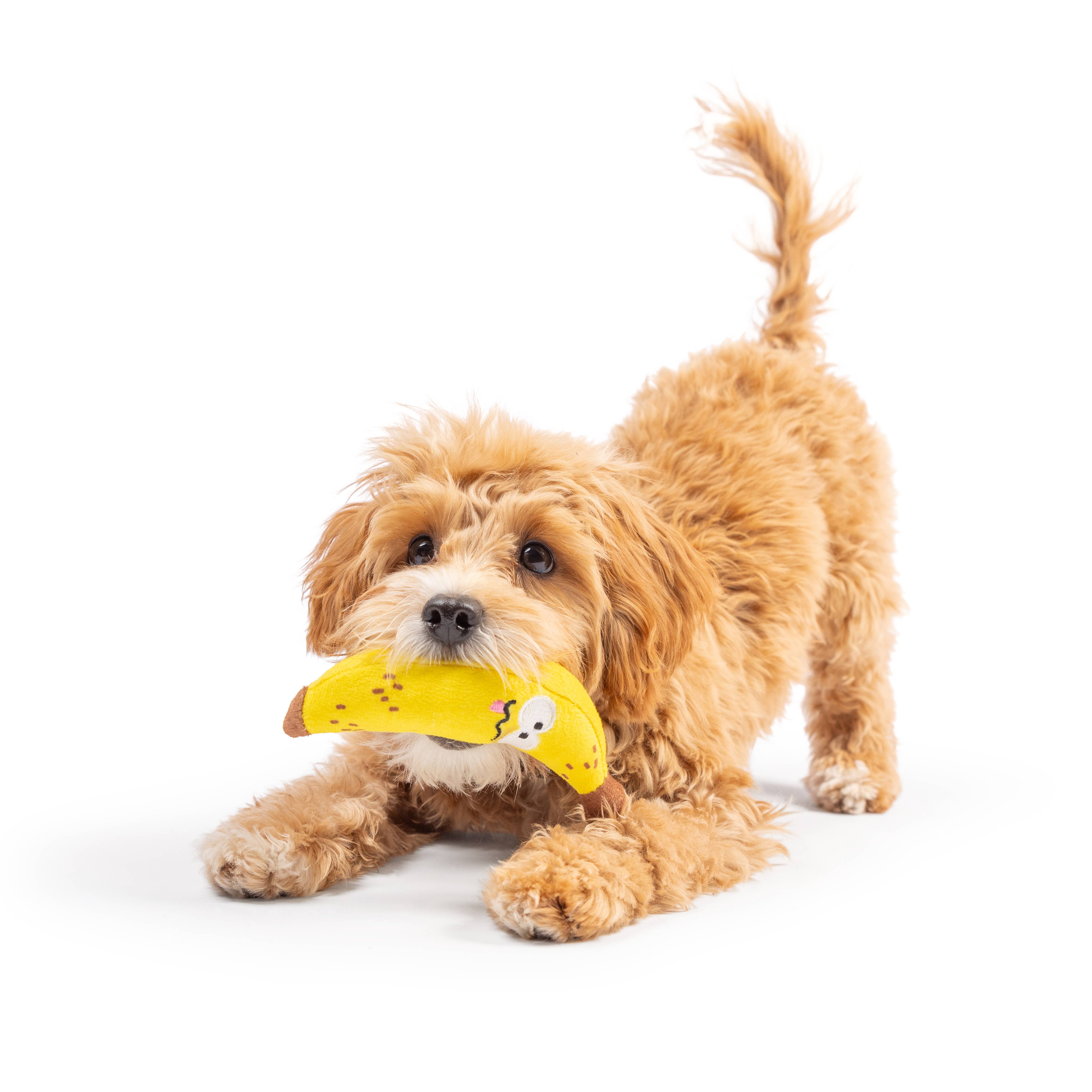 Huxley & Kent - Tiny Tuff Bruiser Banana: One Size