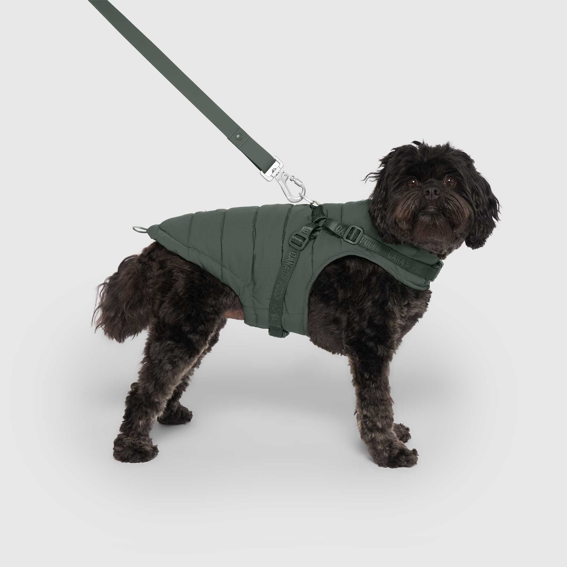 Canada Pooch - Harness Puffer- Dog Coat: Black / 8