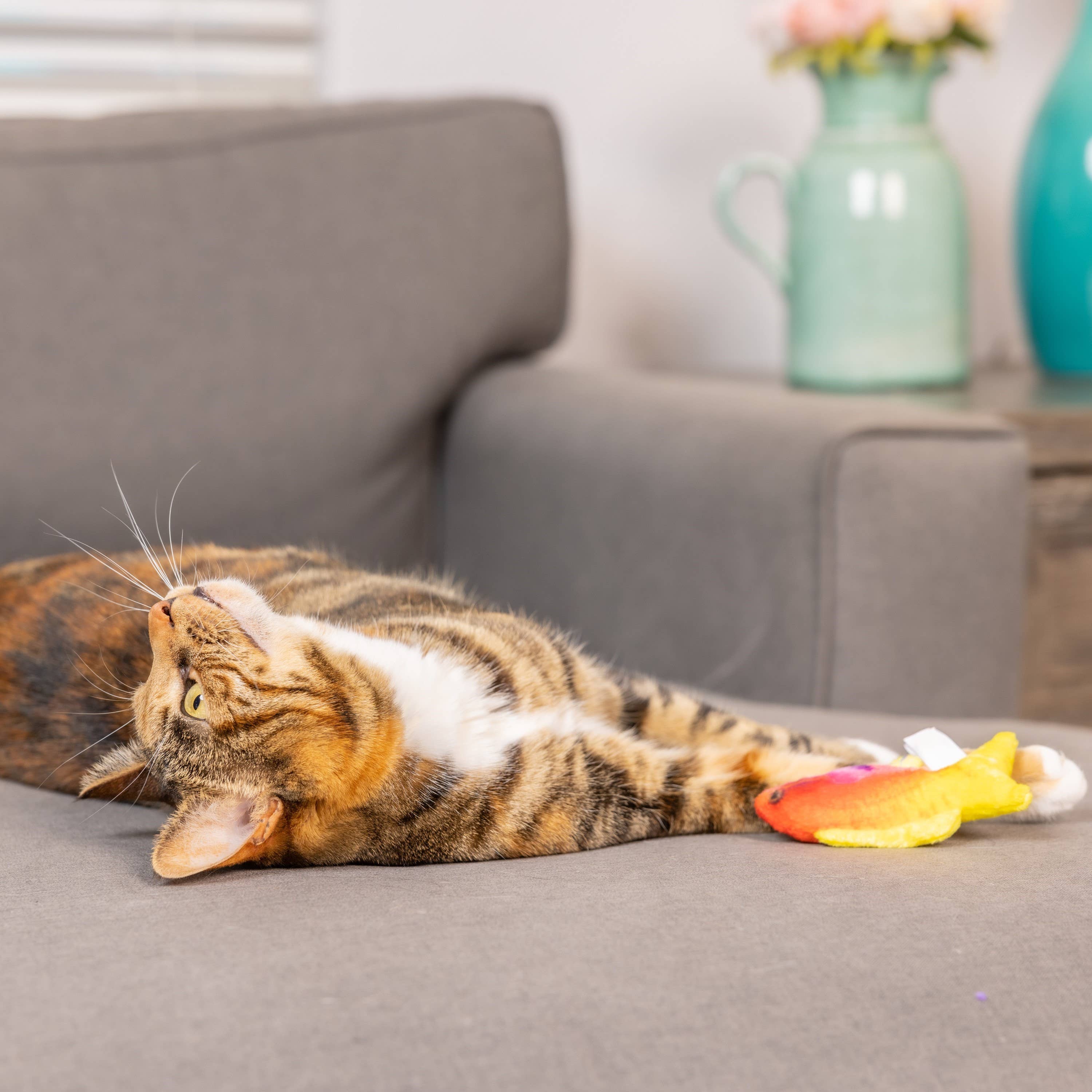 Huxley & Kent - Rainbow Guppy for Cats