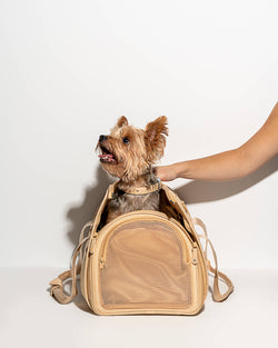 Wild One - Travel TSA Compliant Pet Dog Carrier: Spruce