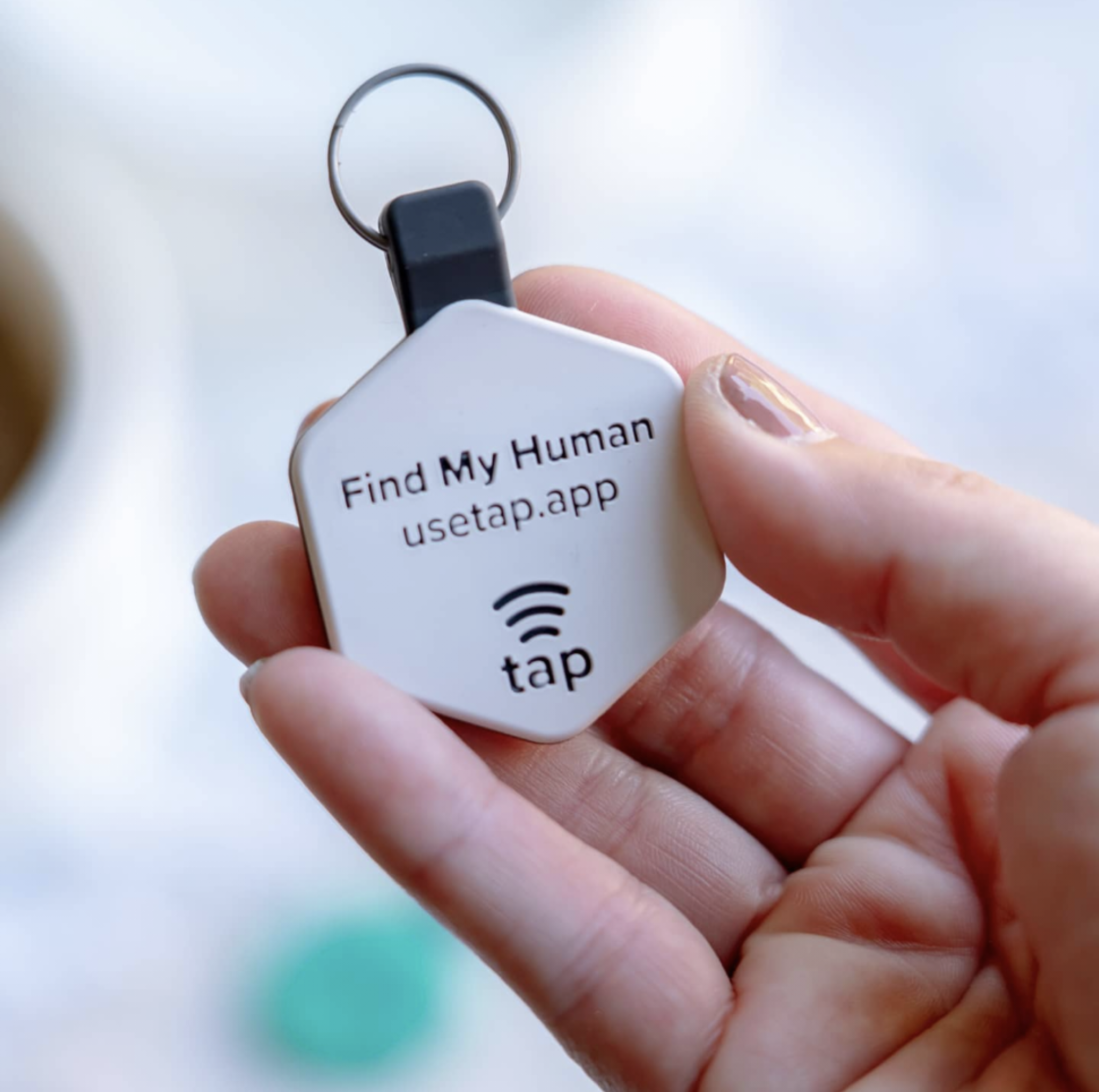 Lifekey Smart Pet Tag Coyote Brown