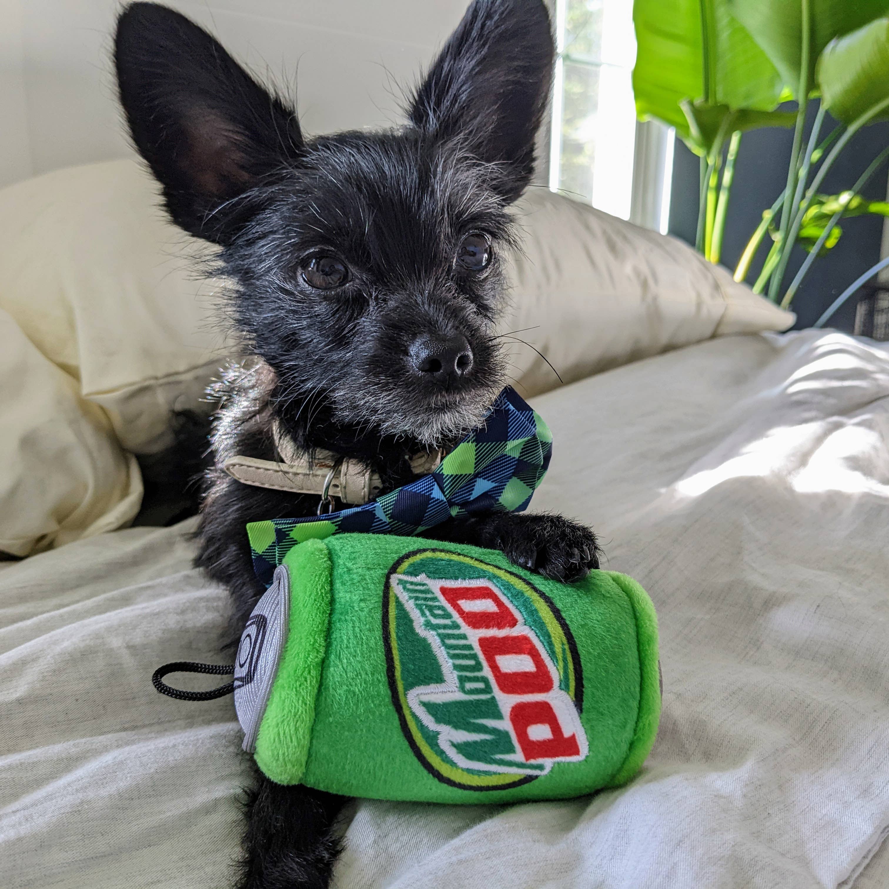 Huxley & Kent - Mountain Poo Dog Toy: Small