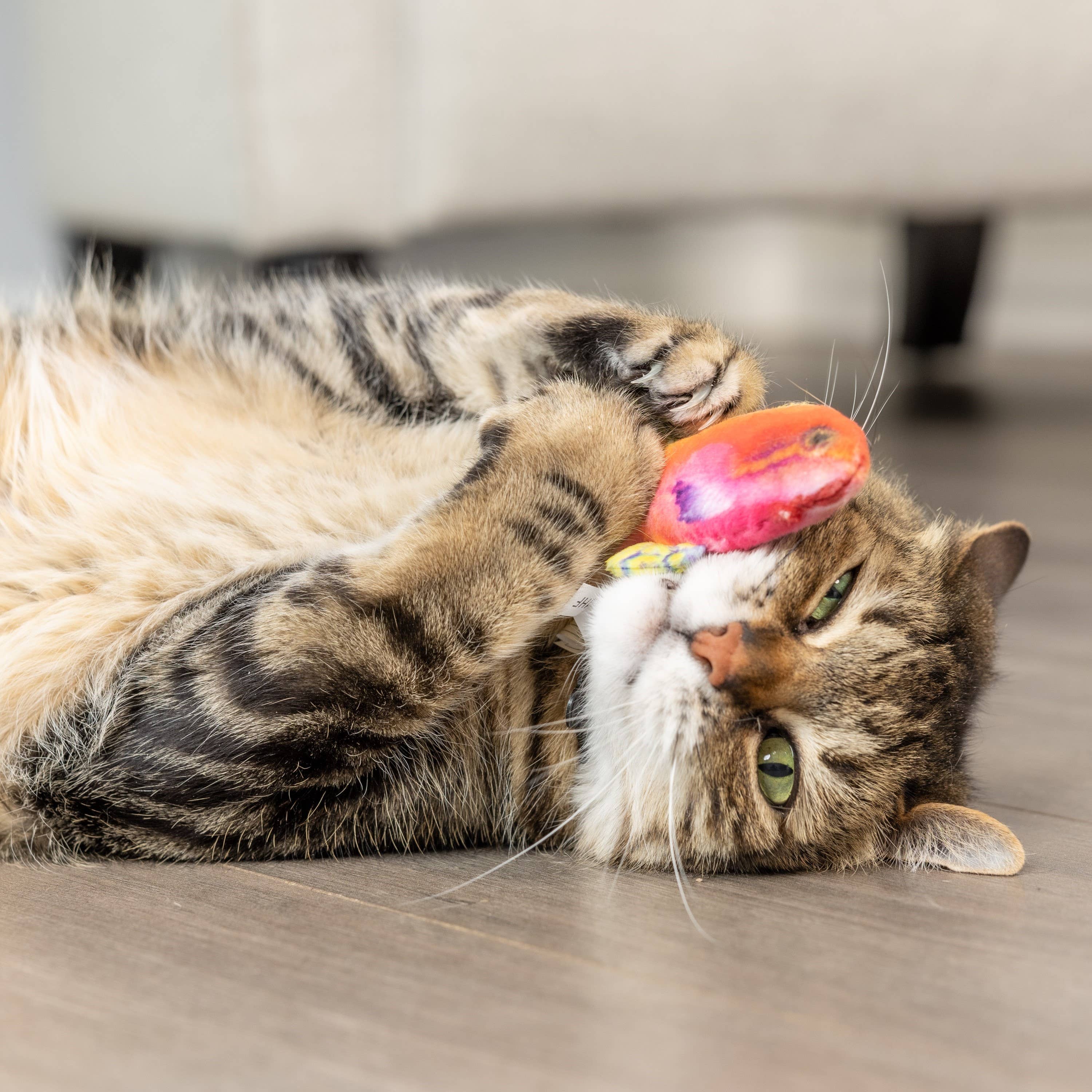 Huxley & Kent - Rainbow Guppy for Cats