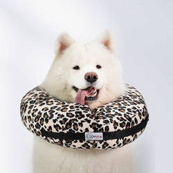 Comfurt Collar - Cheetah - Pet Recovery Collar: L