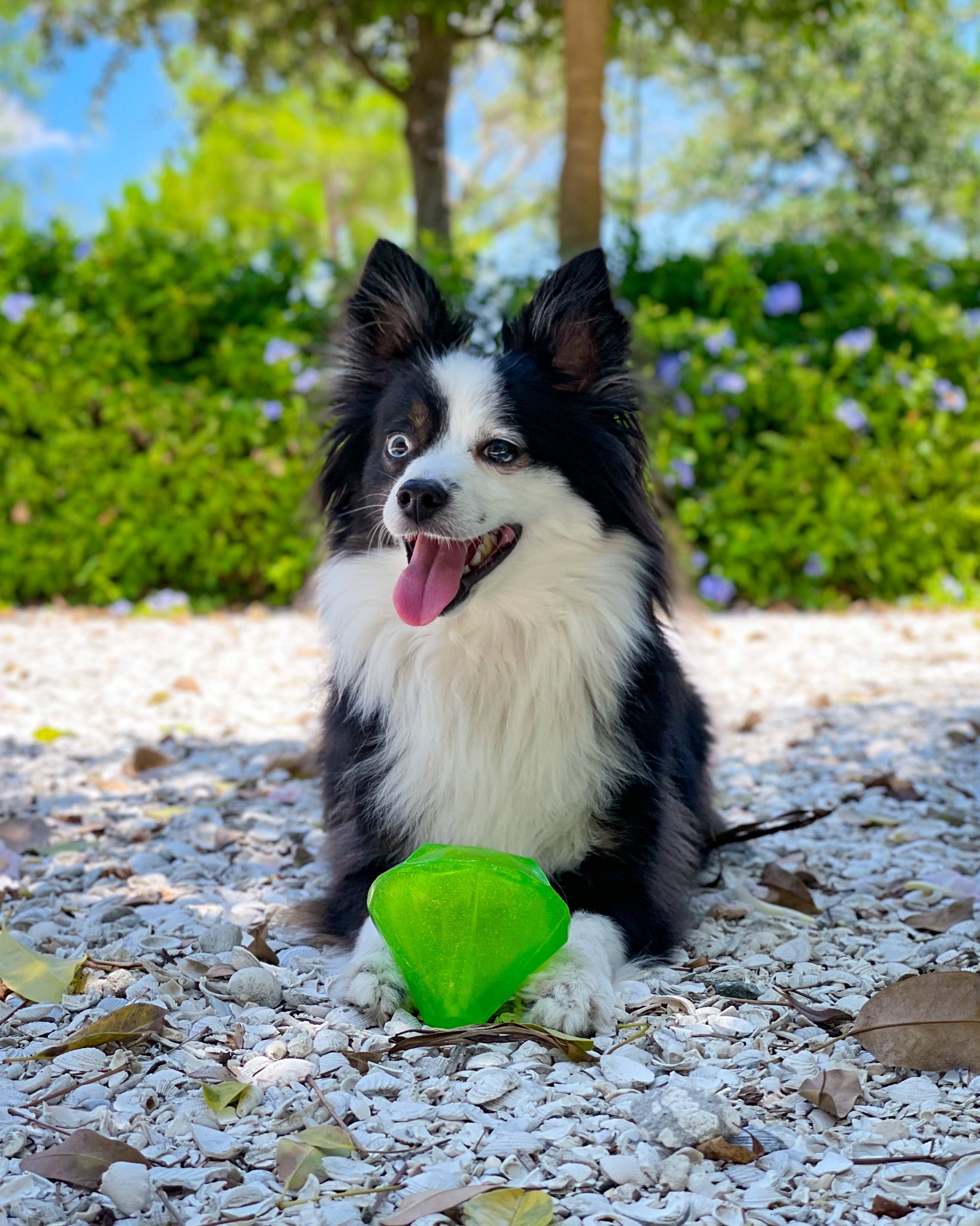 Spunky Pup - Squeaky Gems! - Diamond and Heart Squeakers: Heart