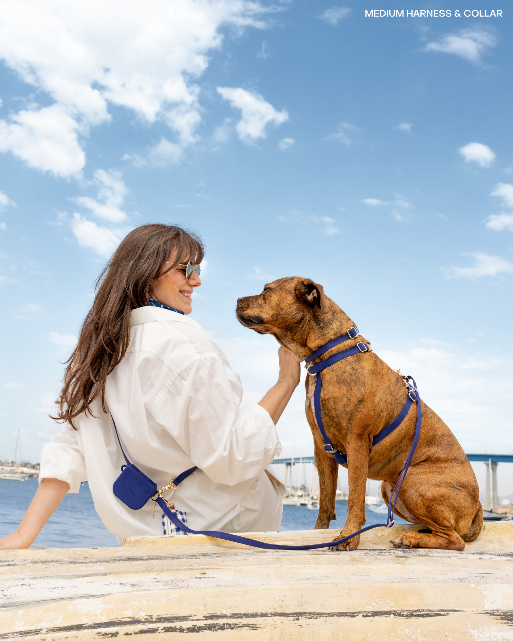 SUNNY TAILS - Signature Navy Snap Dog Treat Pouch