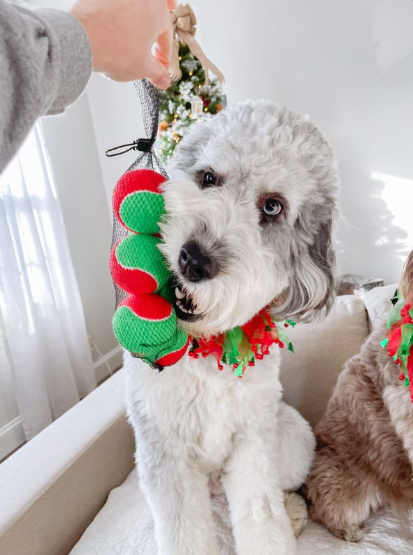 Midlee Designs - Midlee Christmas 2.5" Dog Tennis Balls with Squeaker- 6pk