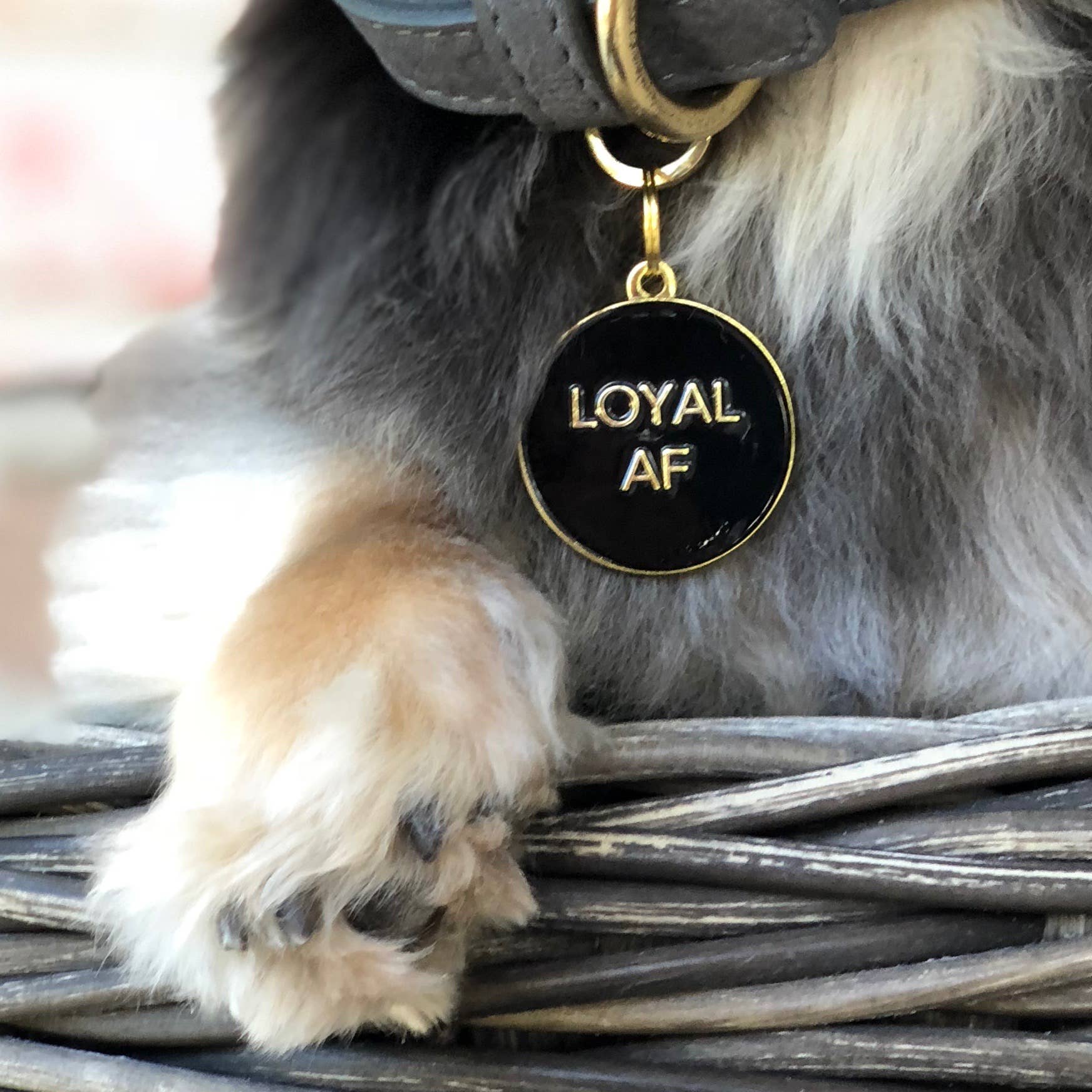 Loyal AF Pet ID Tag: Black