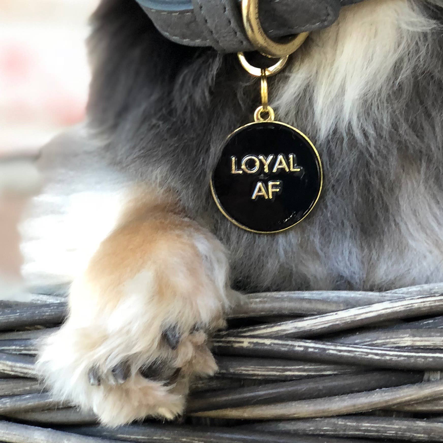 Loyal AF Pet ID Tag: Pink