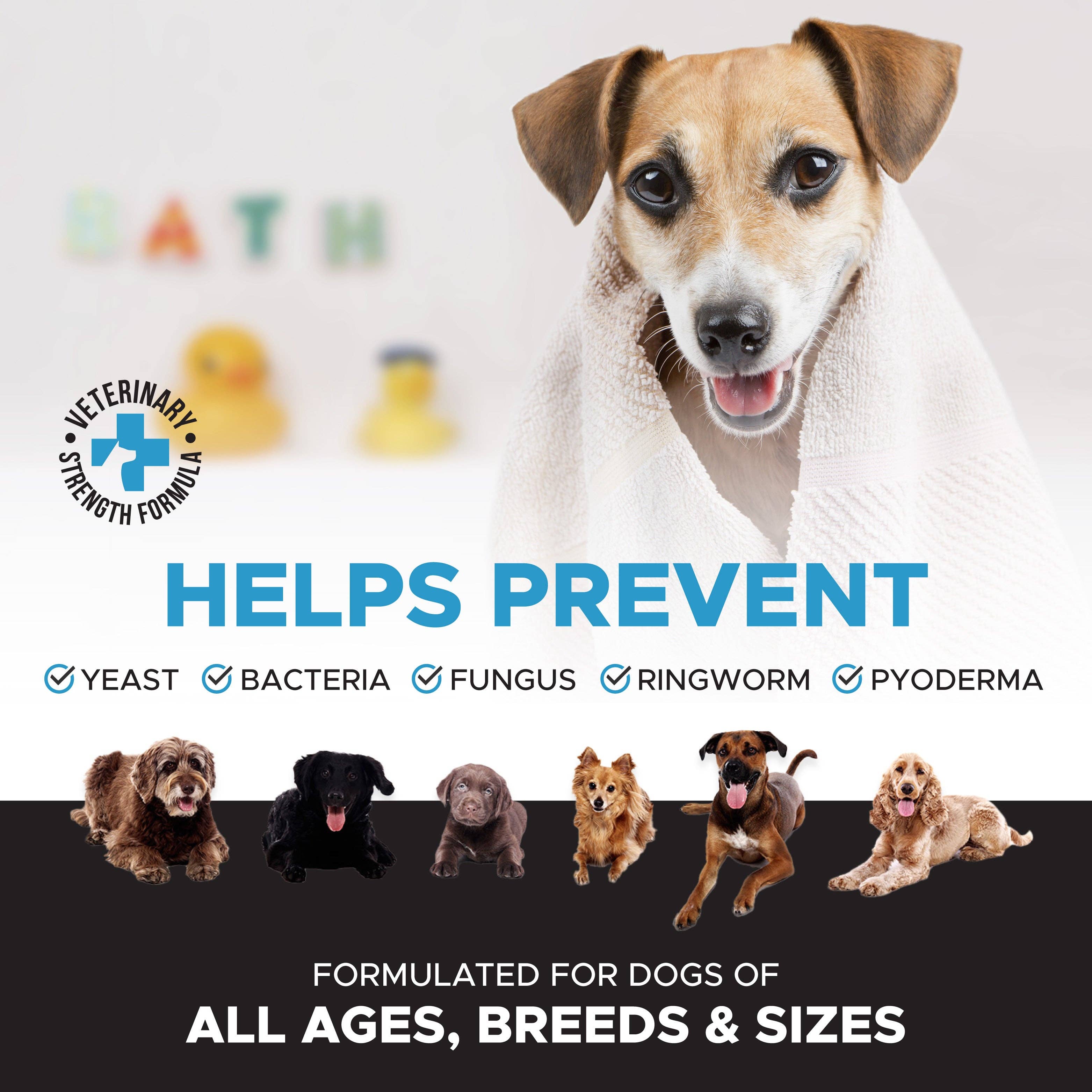 Pet Honesty - Chlorhexidine Shampoo (16 Ounce)