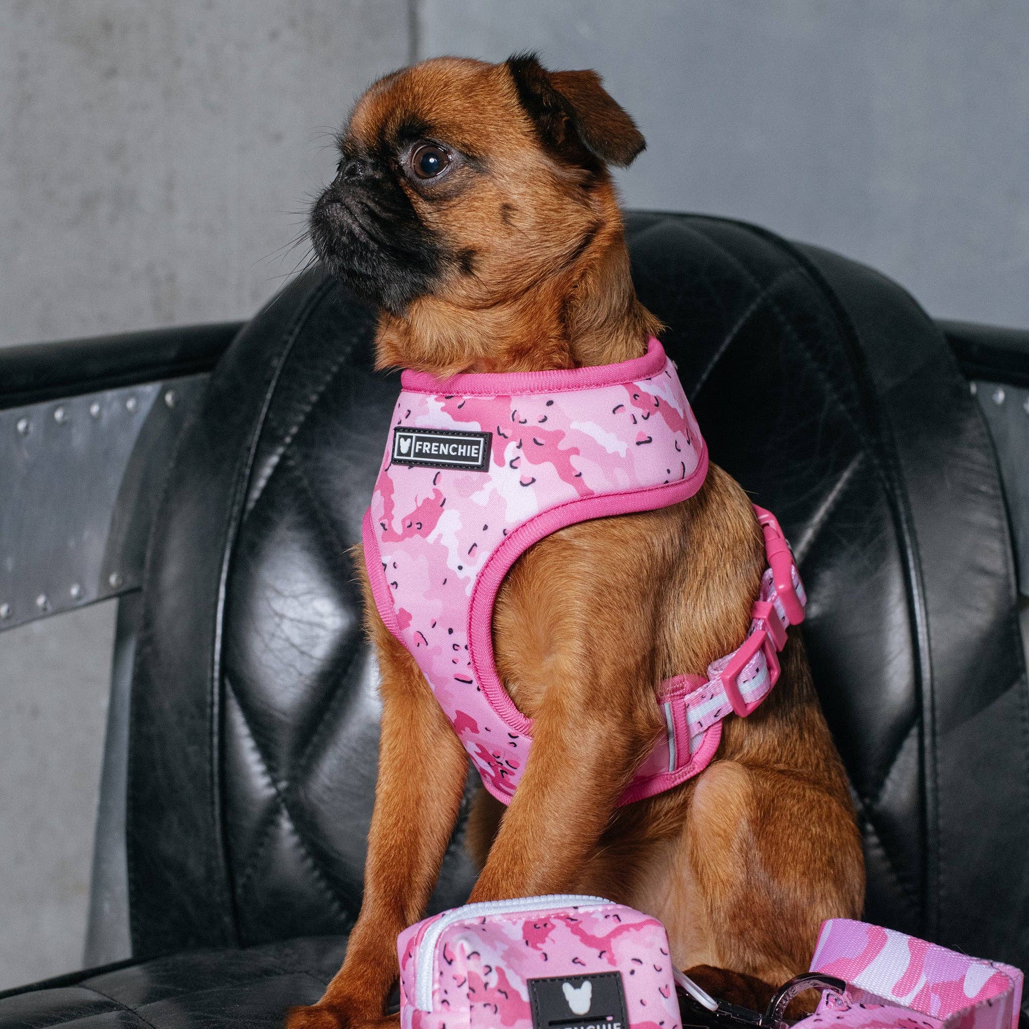 Frenchie - Frenchie Duo Reversible Harness - Desert Camo (Pink): XS