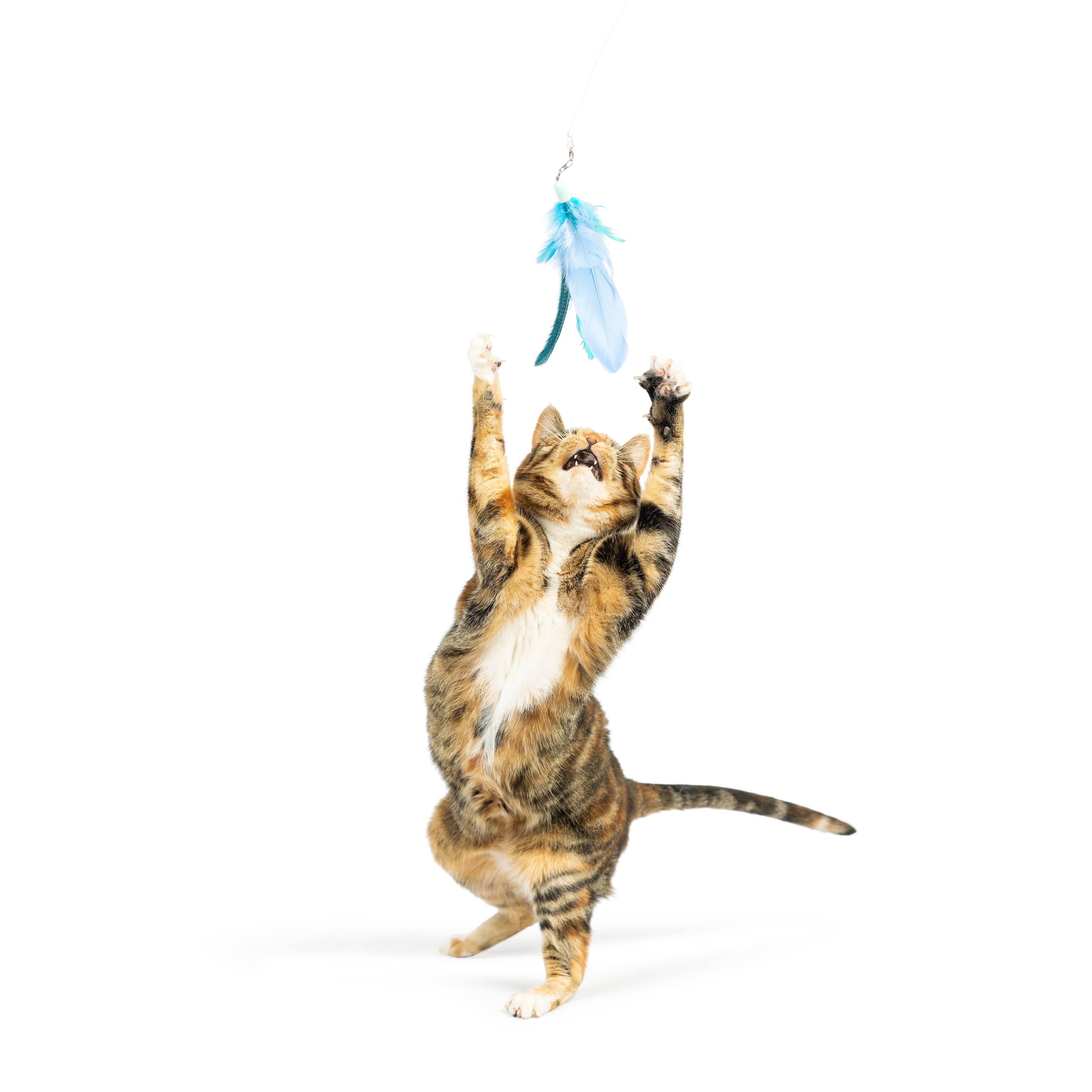 Huxley & Kent - Teaser Kitty Loco Cat Wand: One Size
