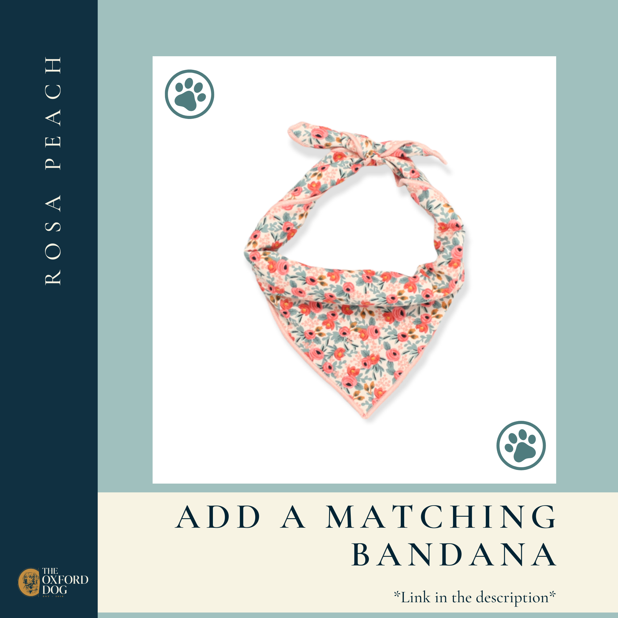 The Oxford Dog - Floral Dog Collar, Girl Dog Collar, Rosa Peach Dog Collar: Silver / MEDIUM