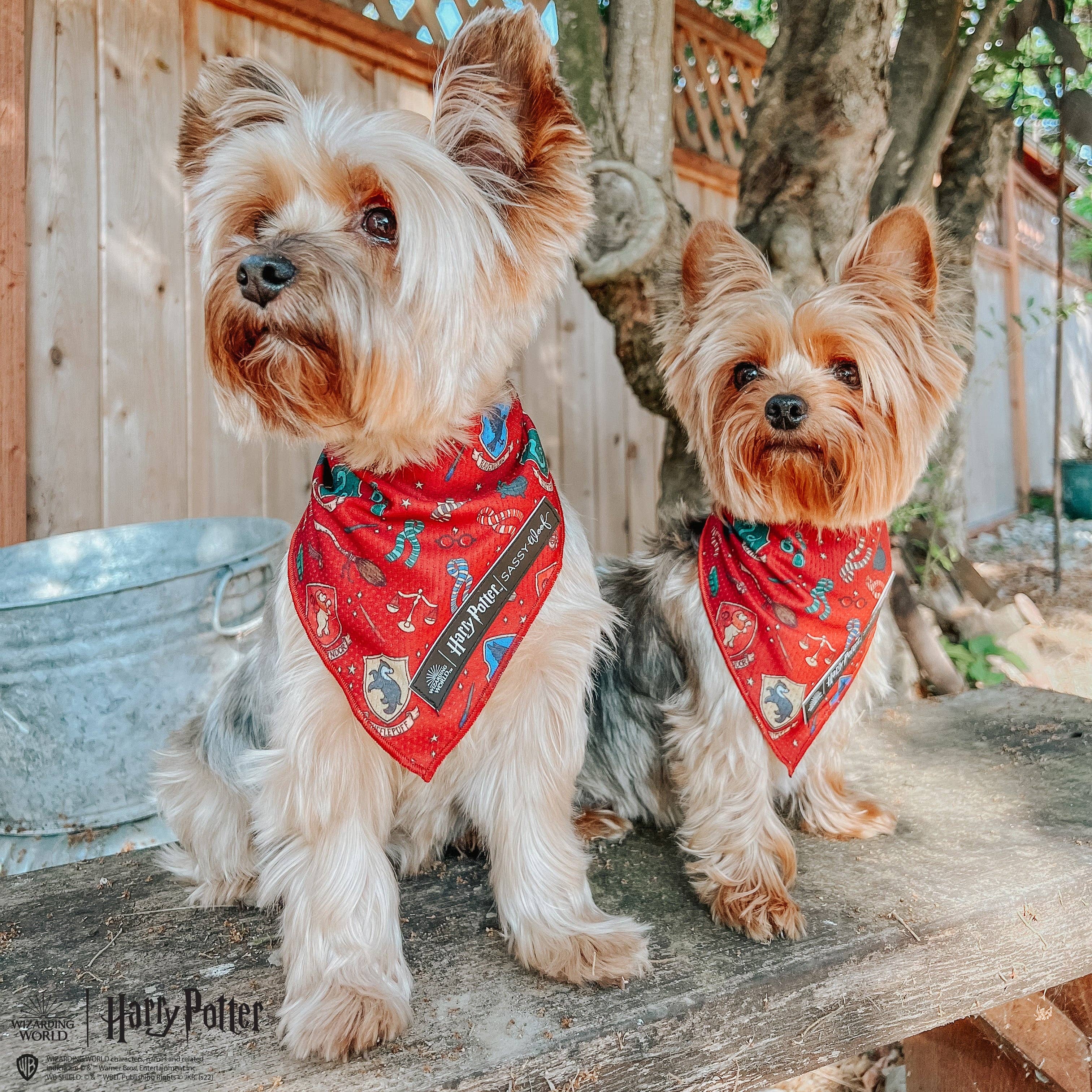 SASSY WOOF - Dog Bandana - Harry Potter™: Medium