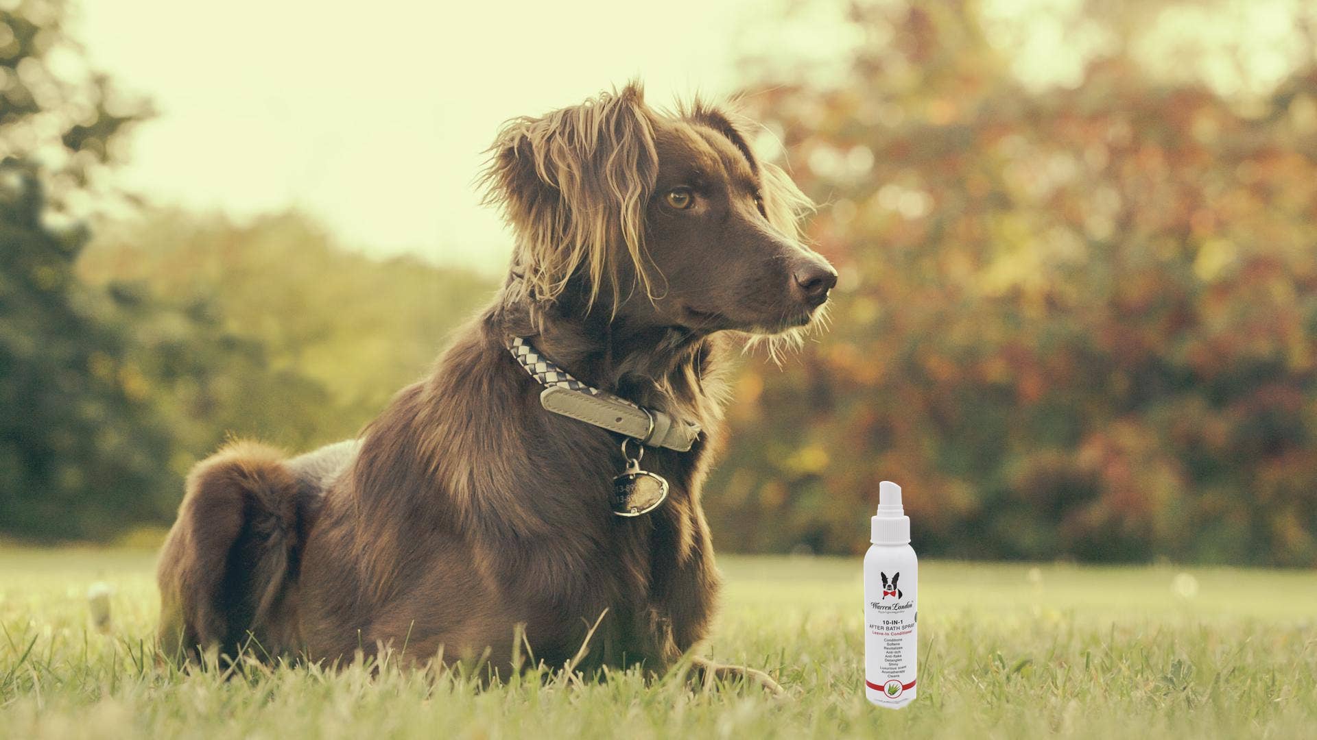 Warren London Dog Products - 10-in-1 After Bath Spray - 3 Sizes: 4oz